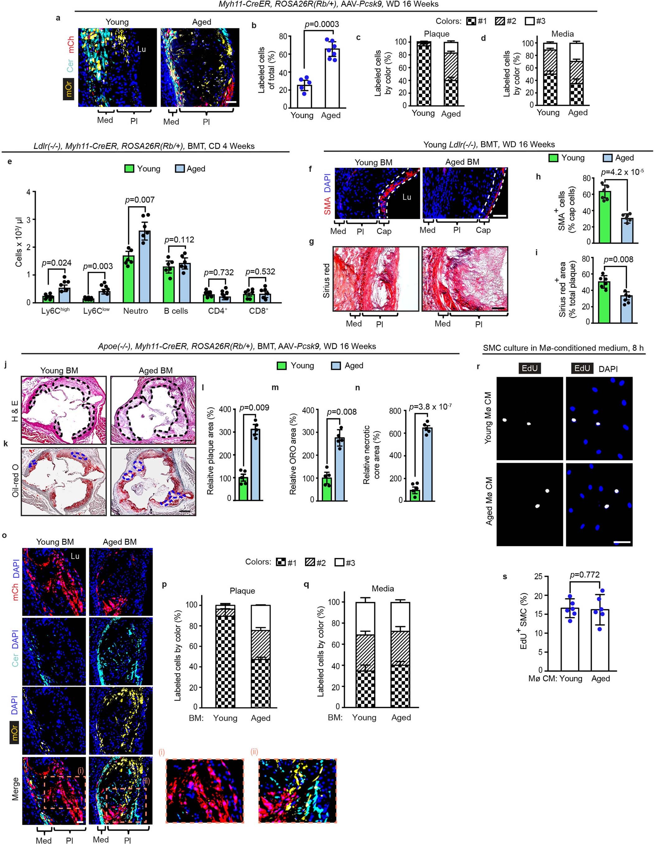 Extended Data Fig. 1