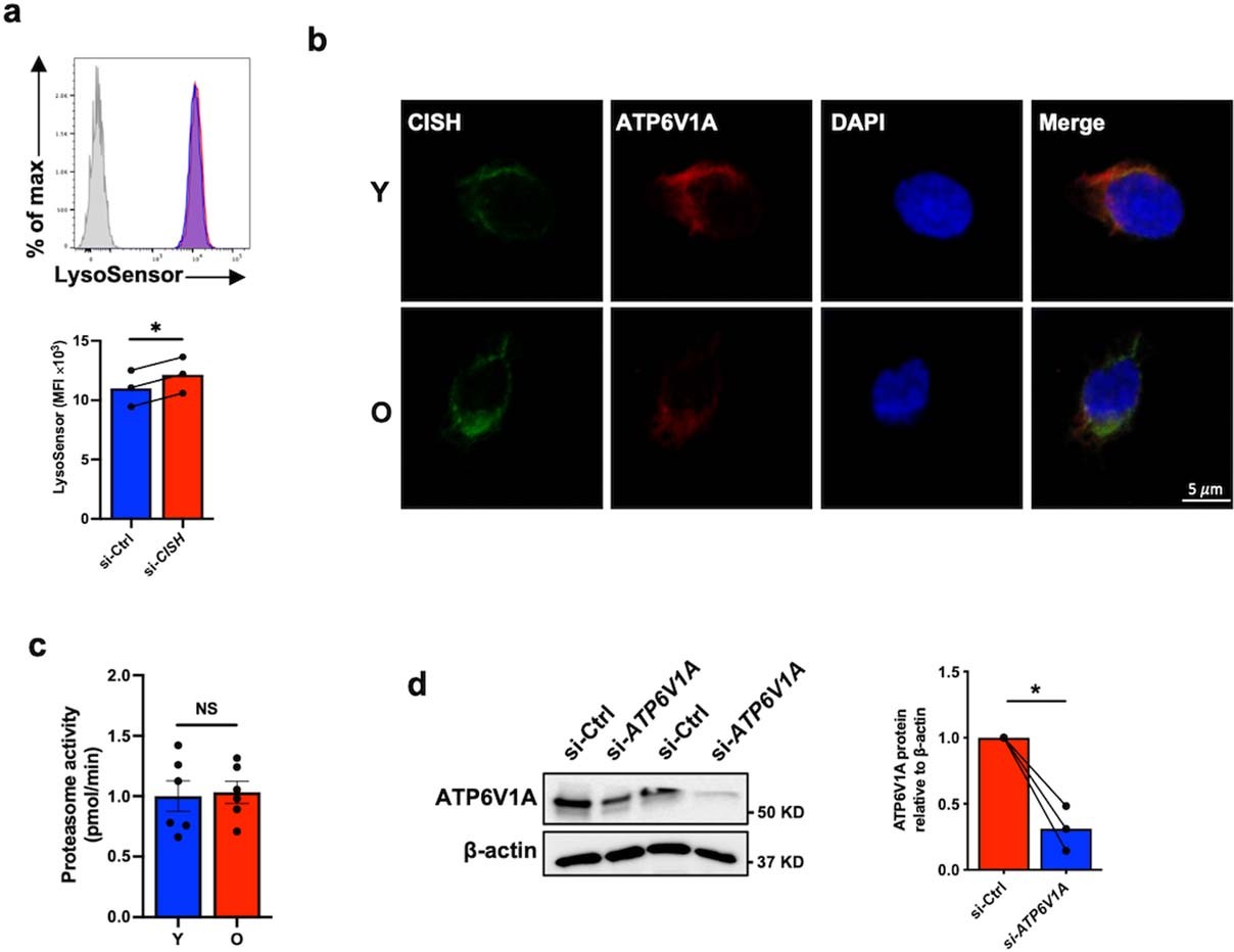 Extended Data Fig. 2