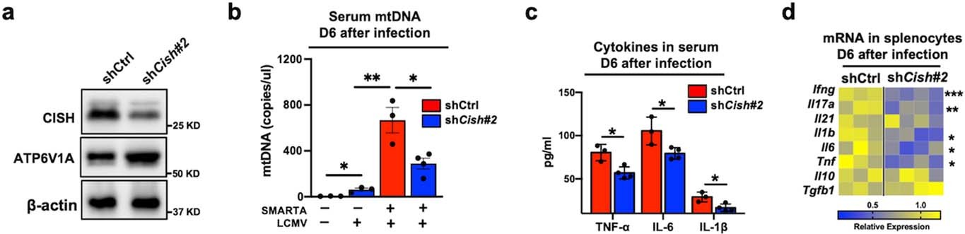 Extended Data Fig. 9