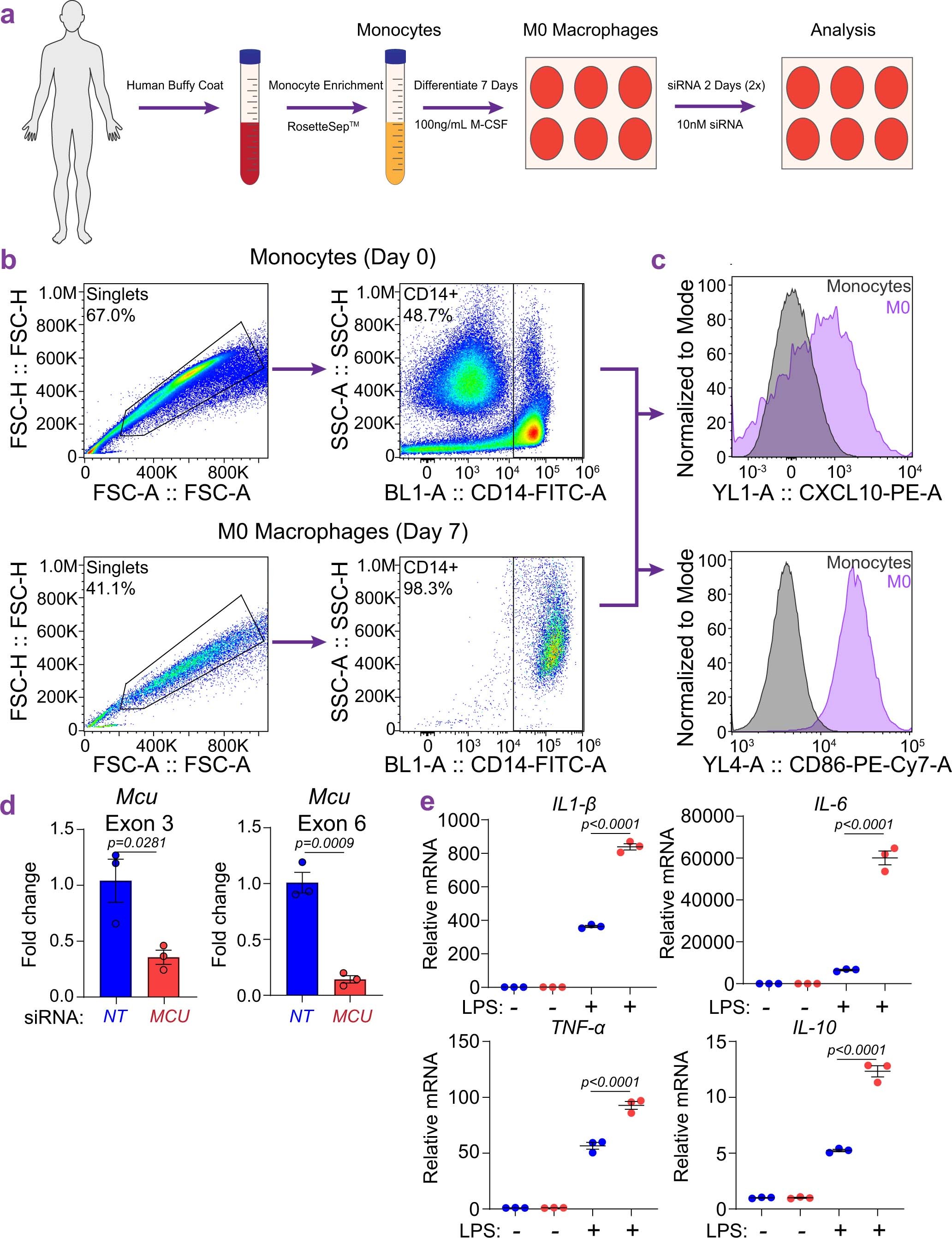 Extended Data Fig. 10: Validation of HMDMs and analysis of LPS response in HMDMs.