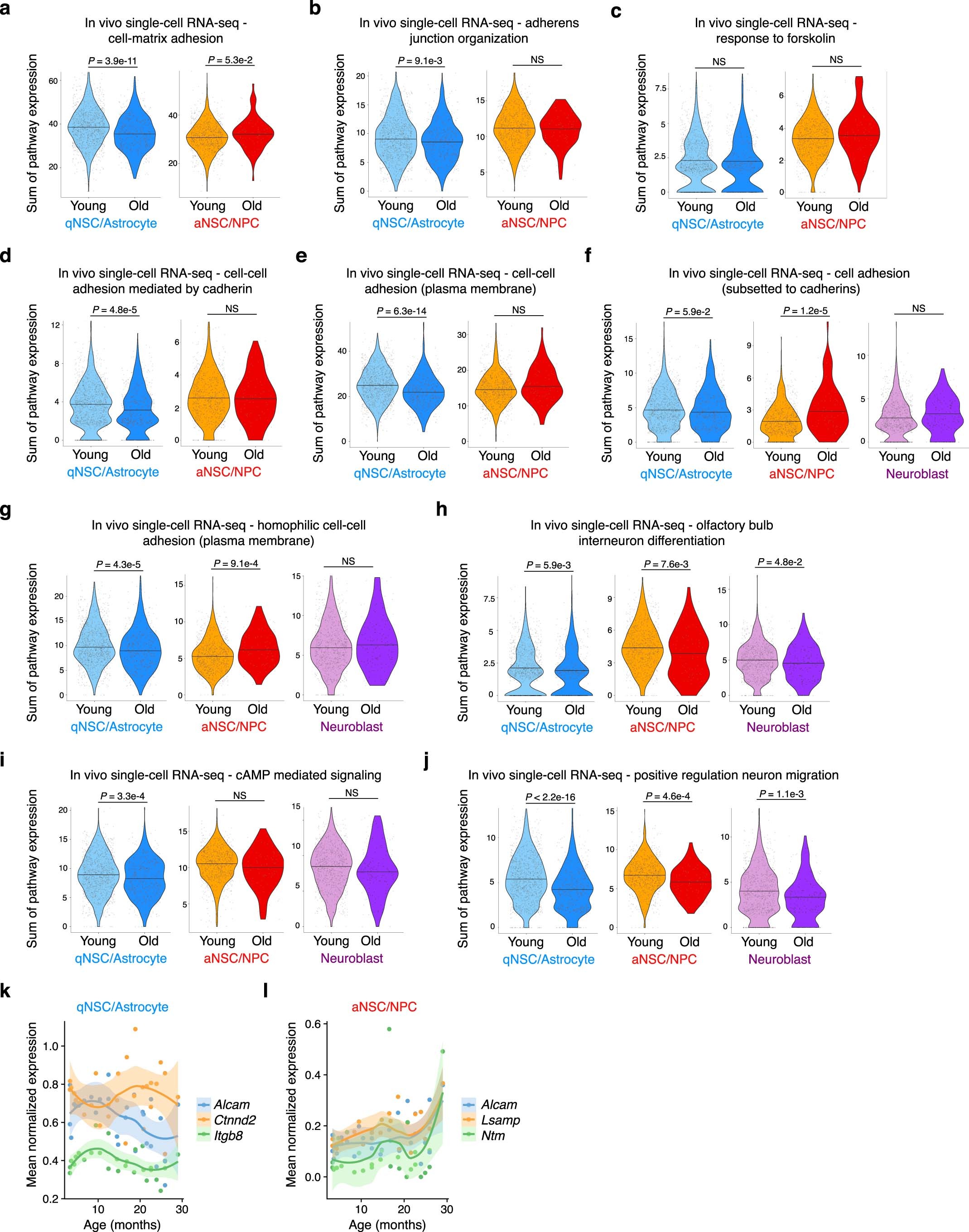 Extended Data Fig. 5