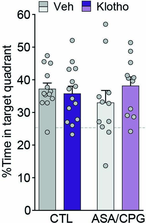 Extended Data Fig. 4: ASA/CPG administration with or without Klotho treatment does not alter time spent in target quadrant (linked to Fig. 2f).