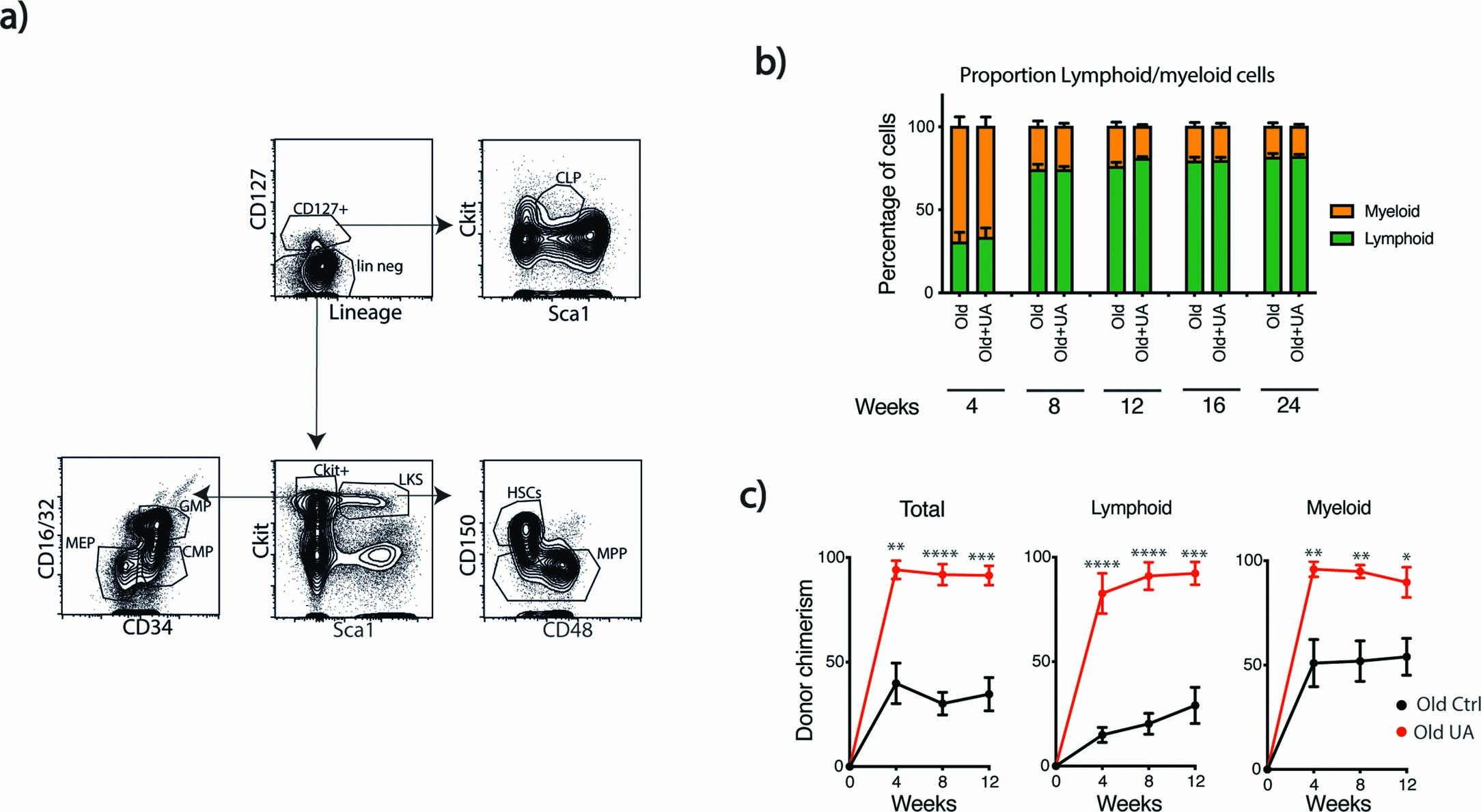 Extended Data Fig. 5: Hematopoietic stem and progenitor analyses of old mice supplemented with UA.