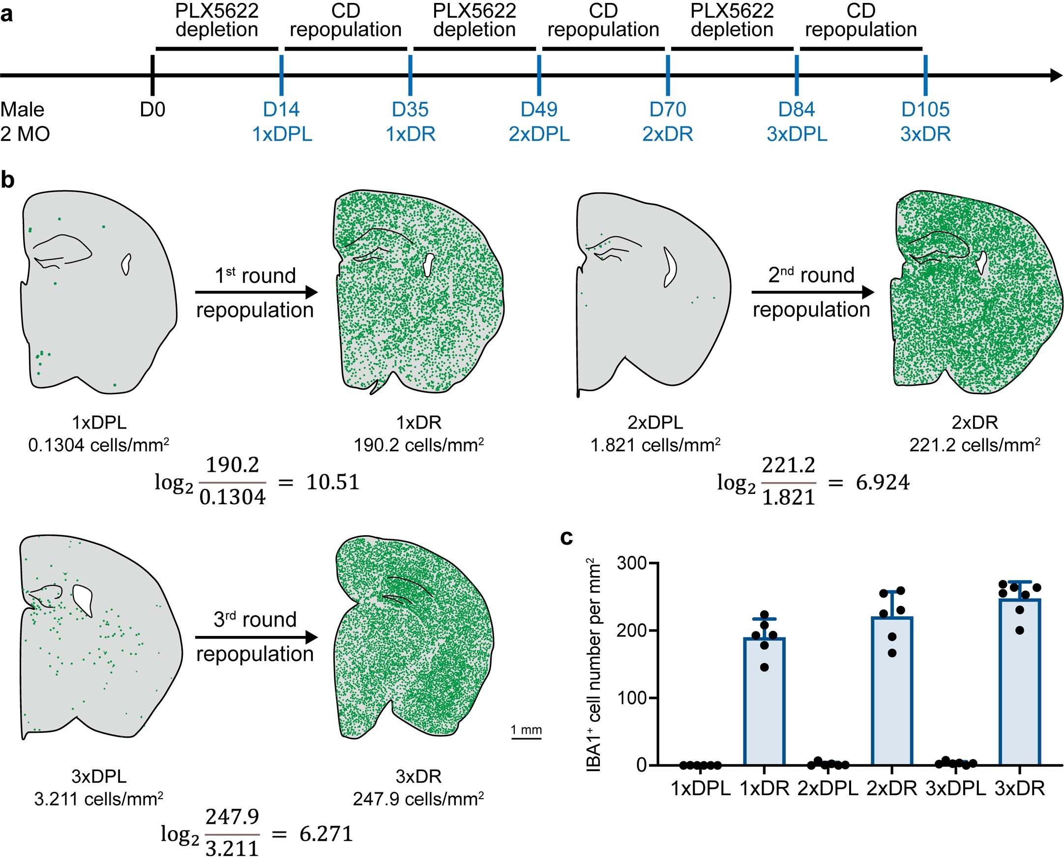 Extended Data Fig. 6