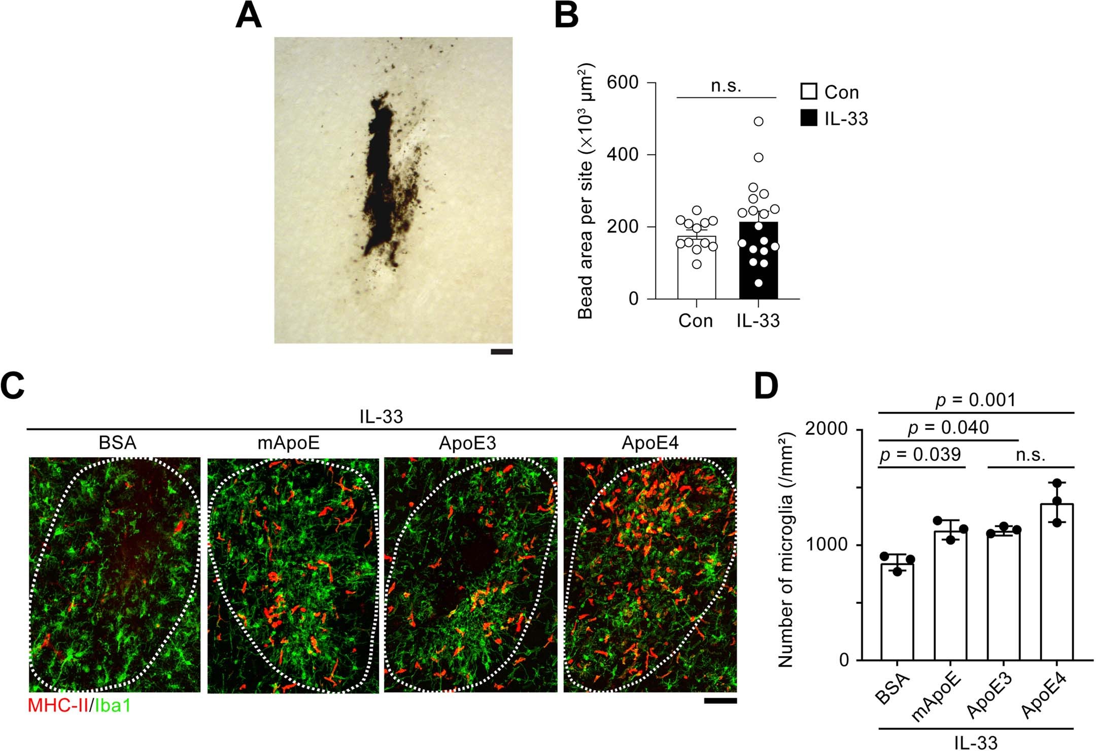 Extended Data Fig. 4: Chemotactic microglia migrate toward nonlipidated ApoE after interleukin-33 treatment.
