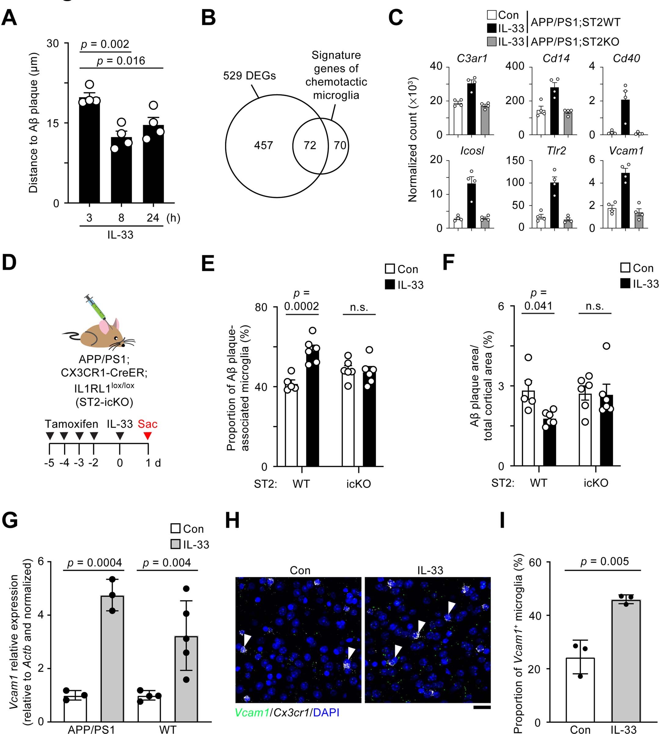 Extended Data Fig. 2: ST2 genetic ablation inhibits the induction of the chemotactic transcriptomic state in microglia after interleukin-33 treatment.