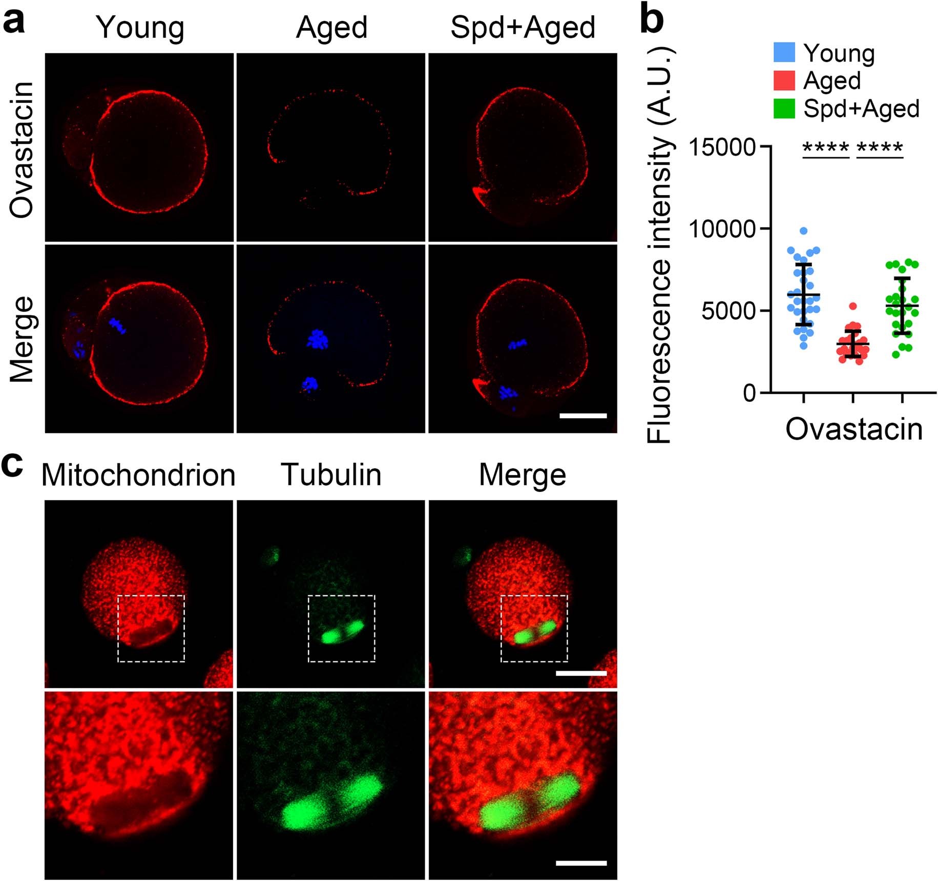 Extended Data Fig. 2