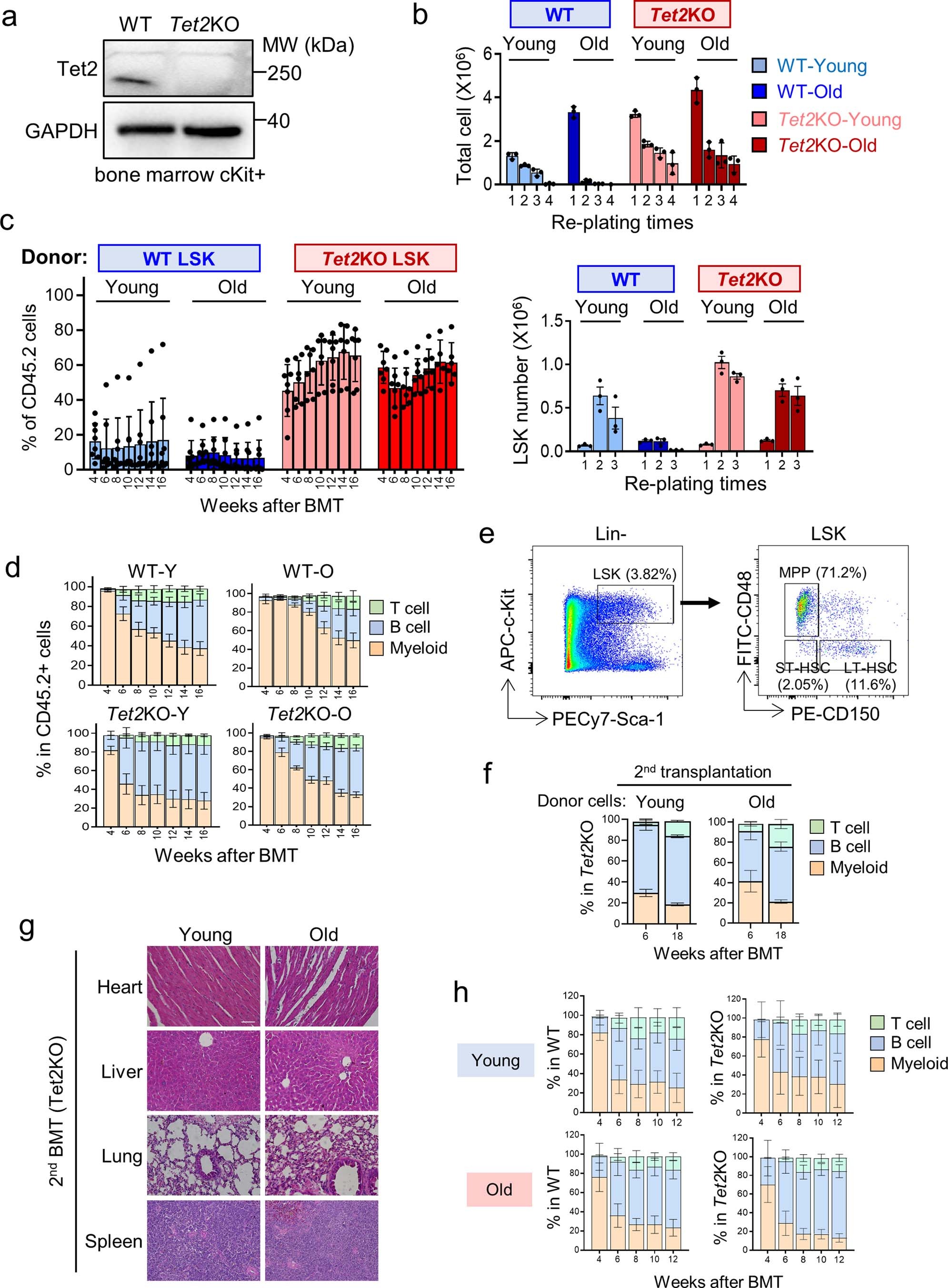 Extended Data Fig. 1