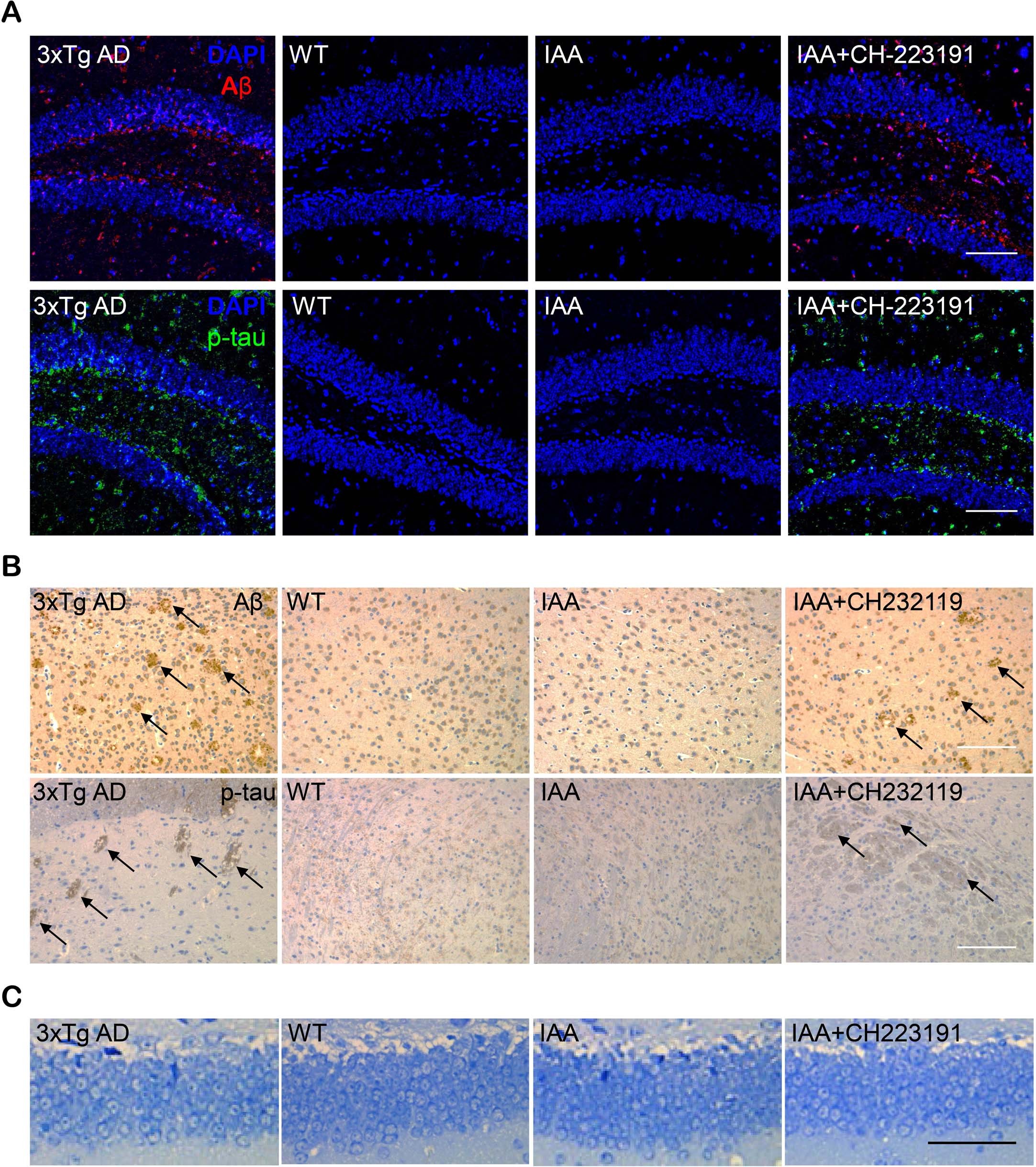 Extended Data Fig. 2