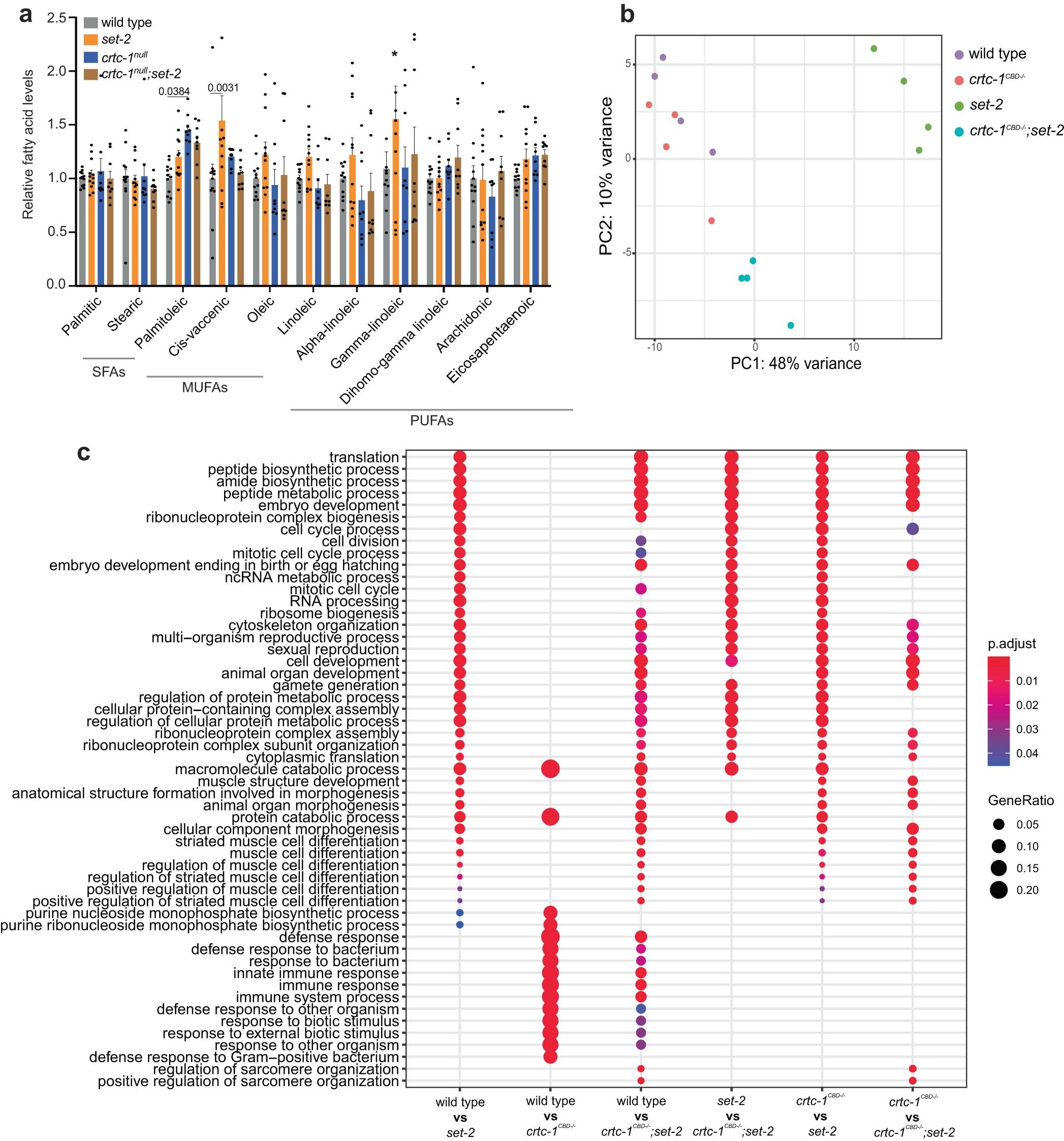 Extended Data Fig. 2: CRTC-1CBD drives a transcriptional shift in H3K4me3-deficient animals.