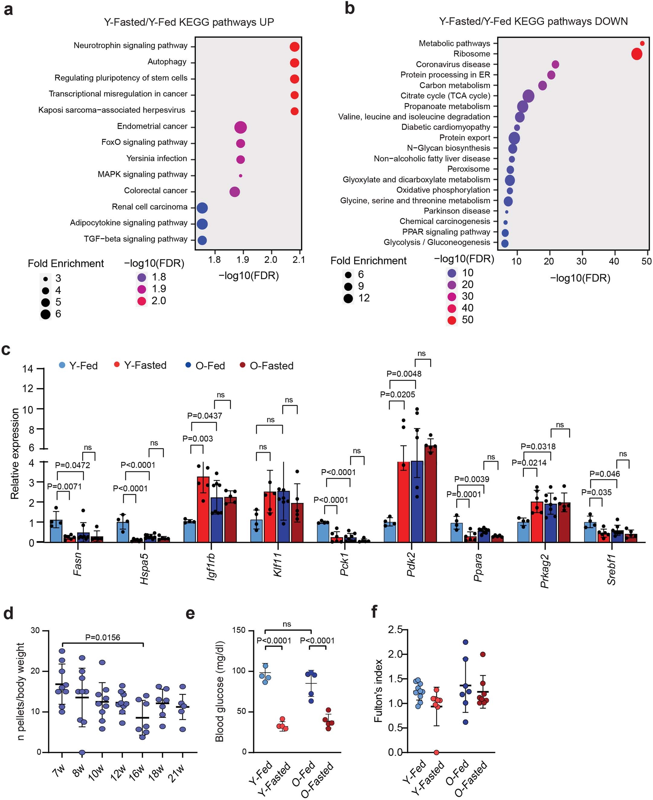 Extended Data Fig. 1: Aging is associated with a fasting-like transcriptional program (FLTP).