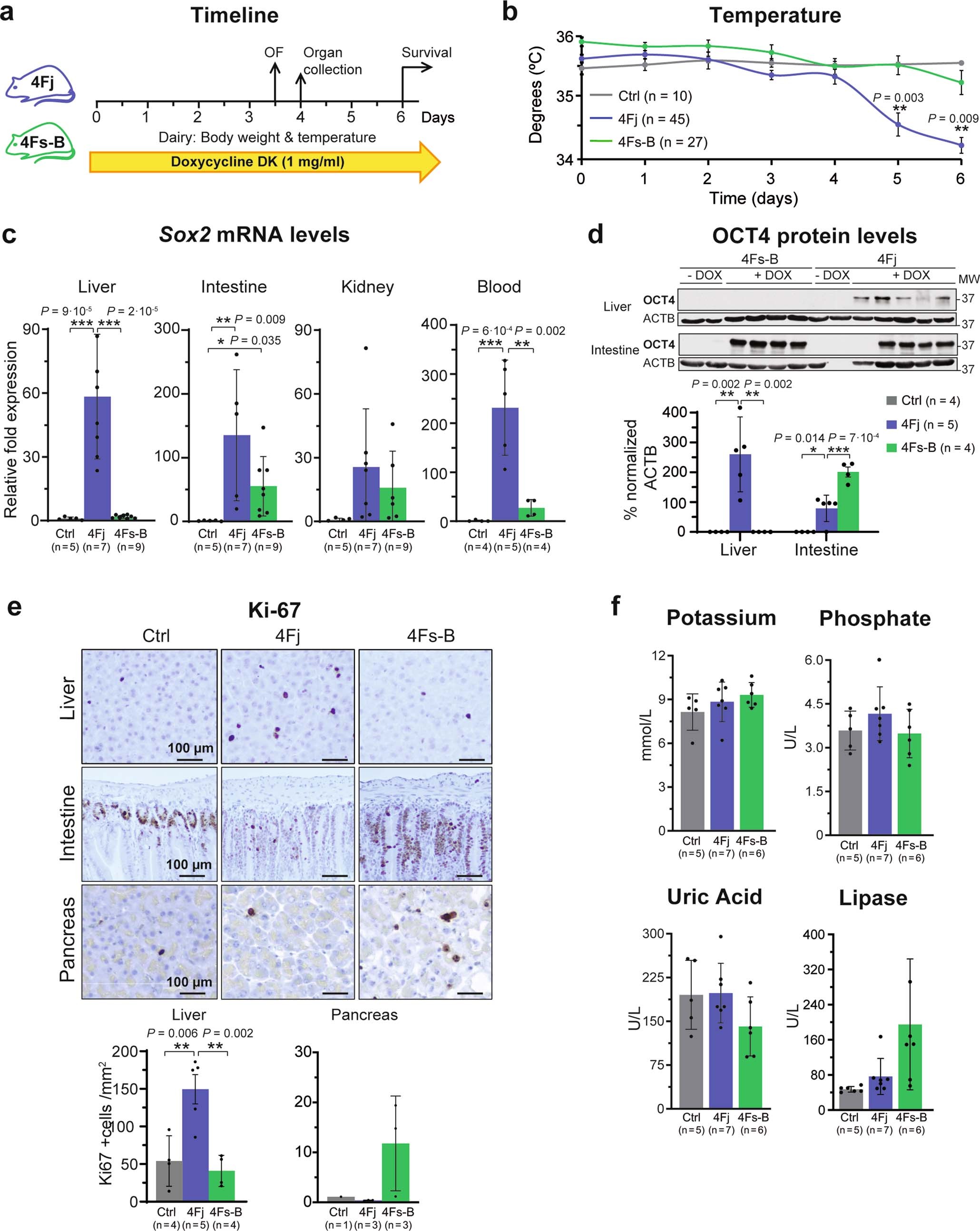 Extended Data Fig. 1: In vivo reprogramming induces liver and intestinal damage.