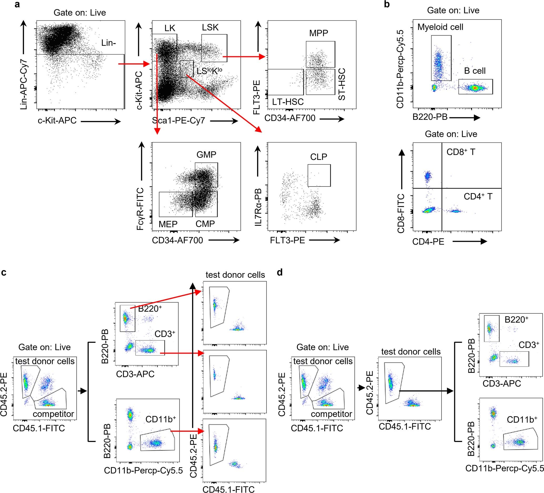 Extended Data Fig. 8: Representative flow cytometry gating strategy used in this study.
