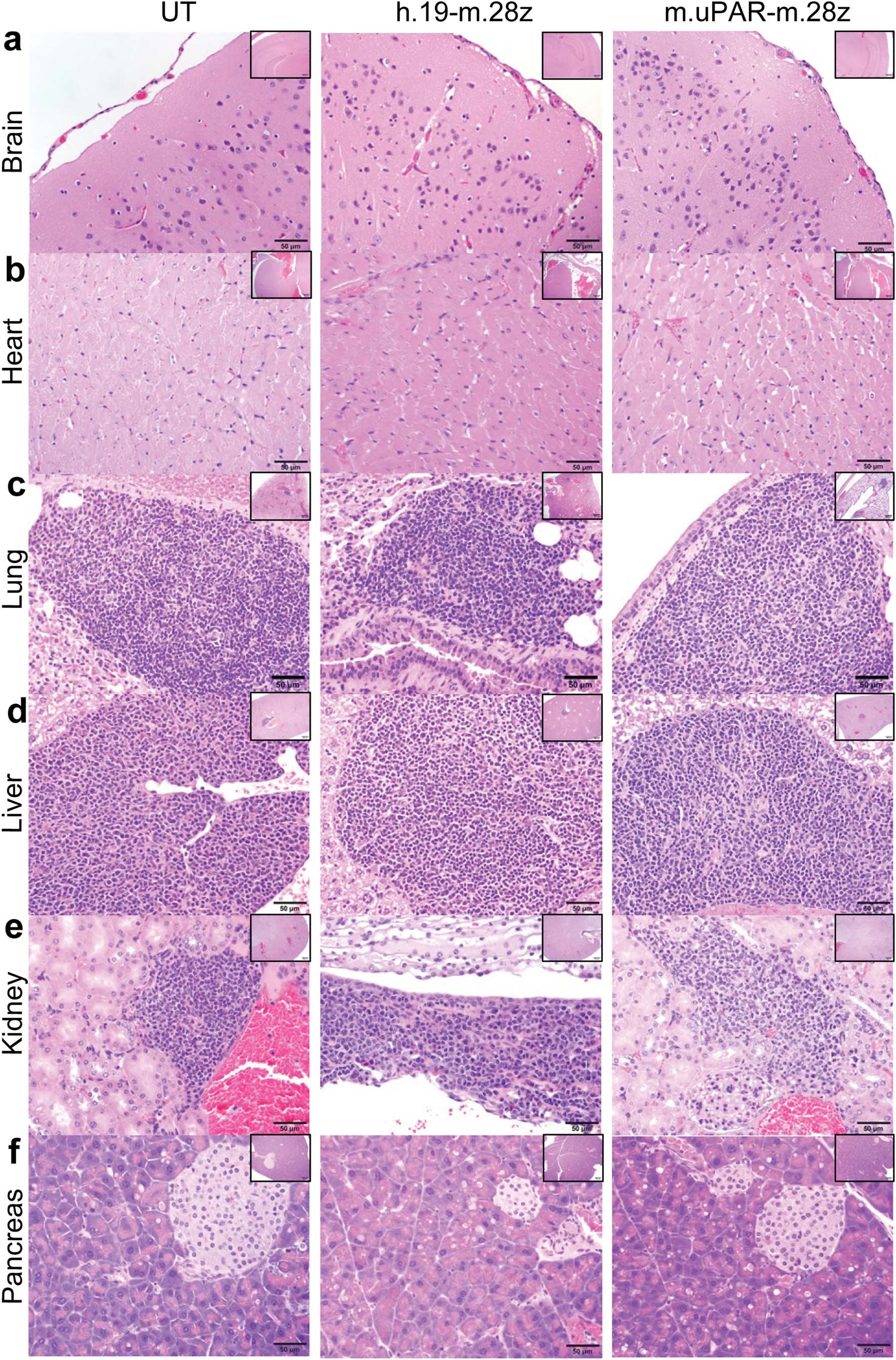 Extended Data Fig. 5