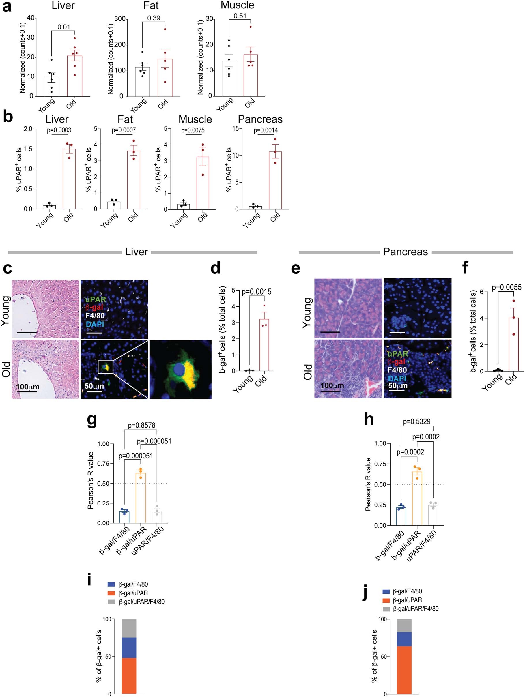 Extended Data Fig. 1