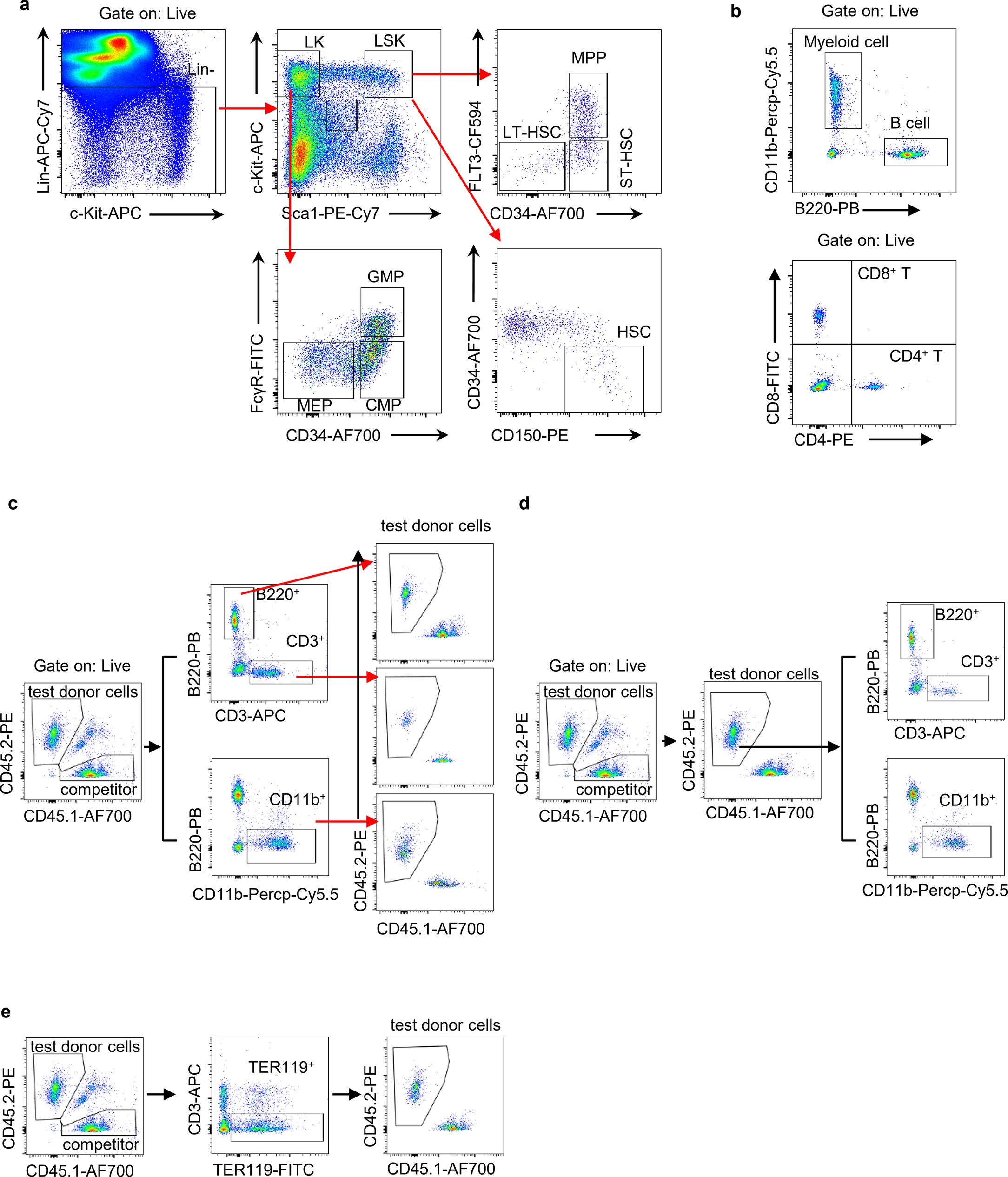 Extended Data Fig. 8: Representative flow cytometry gating strategy used in this study.