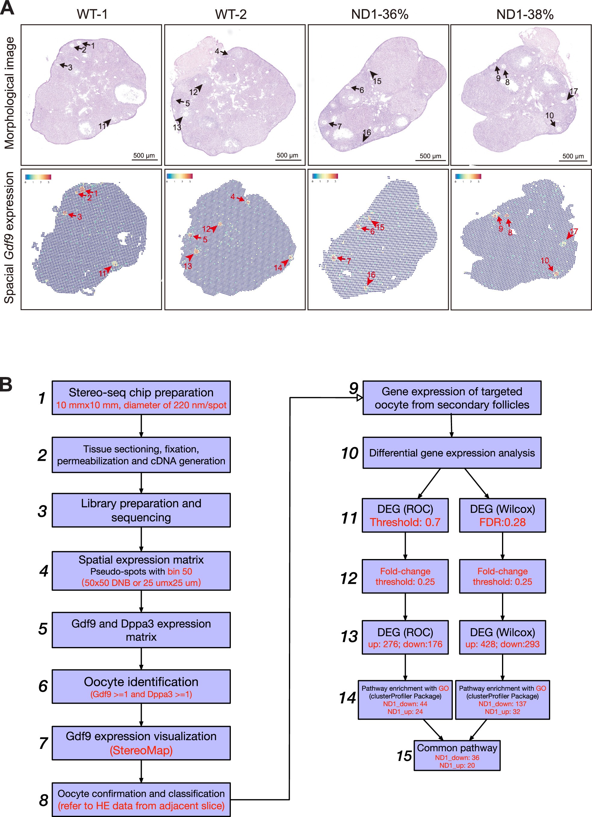 Extended Data Fig. 7