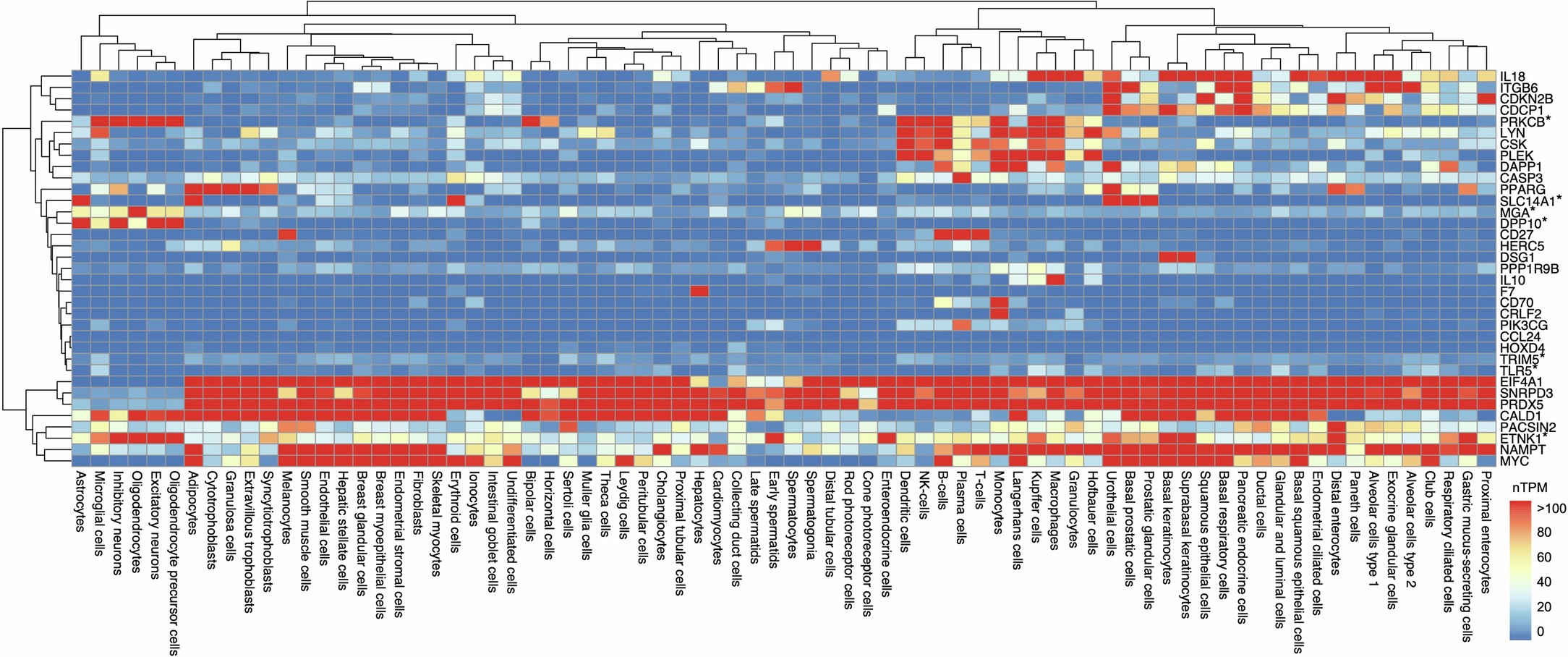 Extended Data Fig. 6