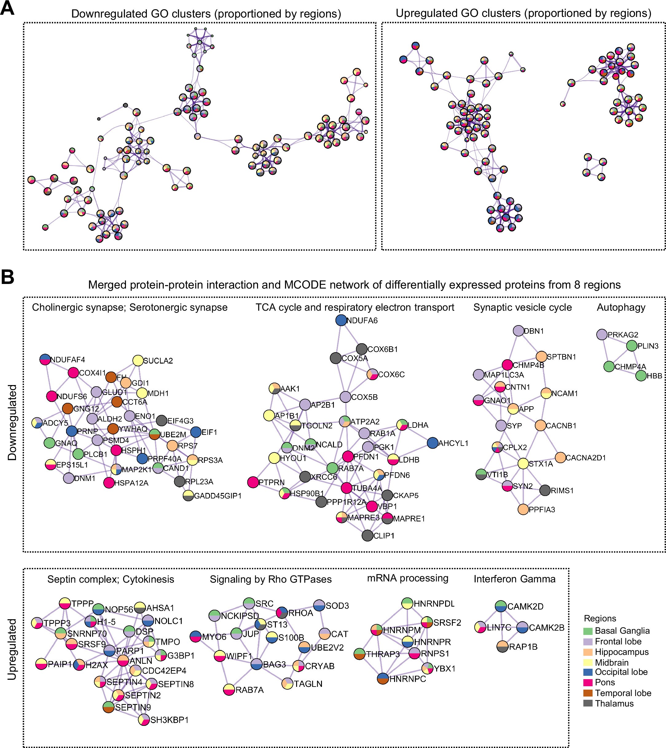 Extended Data Fig. 5: Additional GO enrichment, PPI and MCODE network analyses of differentially expressed proteins in eight regions.