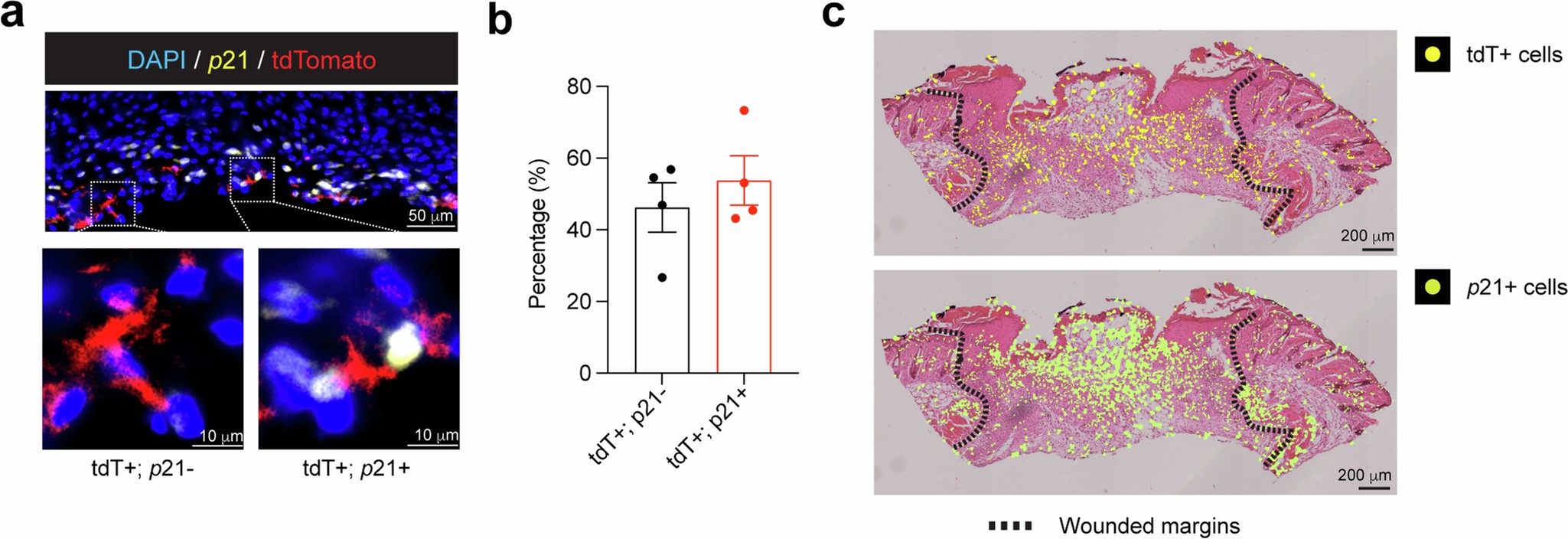 Extended Data Fig. 5
