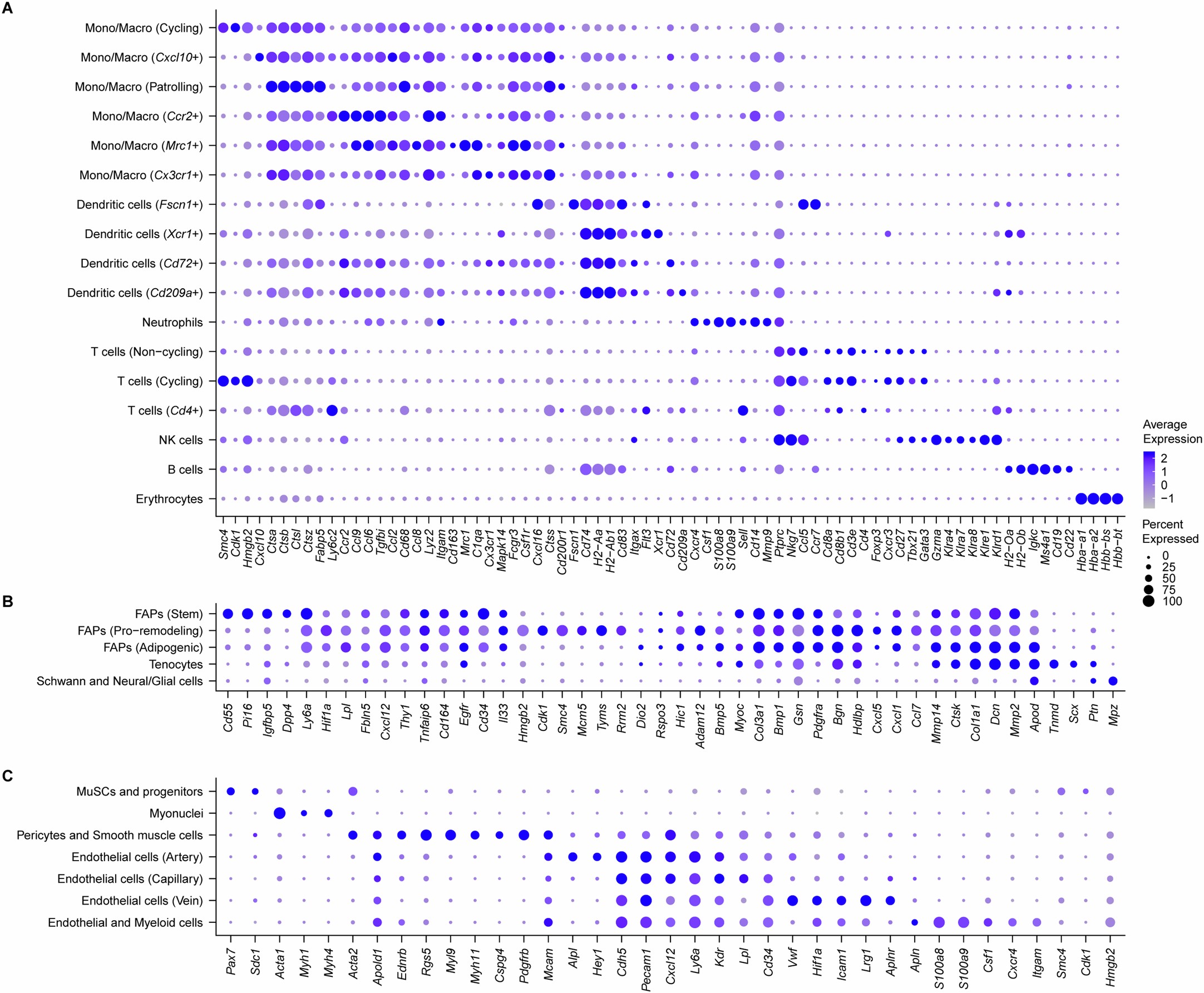 Extended Data Fig. 3: Identifying cell types in skeletal muscle during homeostasis and regeneration.