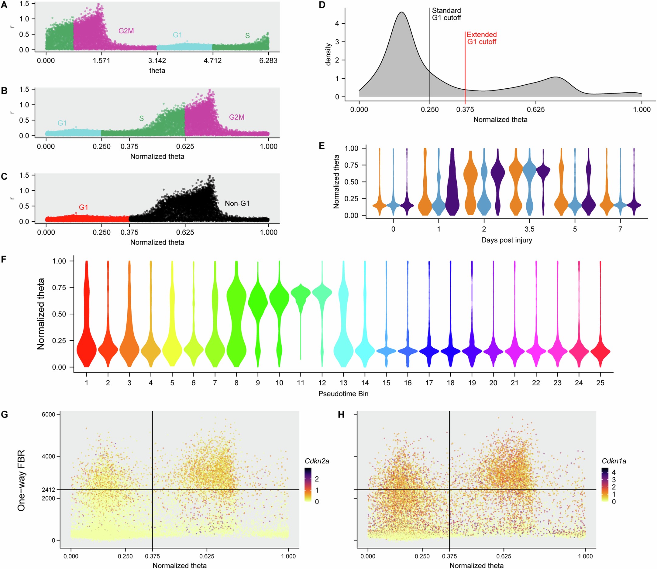 Extended Data Fig. 10: Cell cycle workflow.