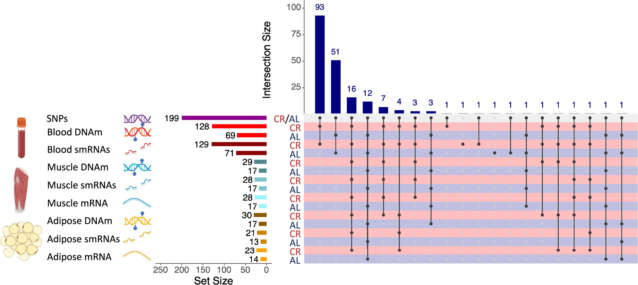 Extended Data Fig. 1: Upset plot of samples for baseline and at least one follow-up.