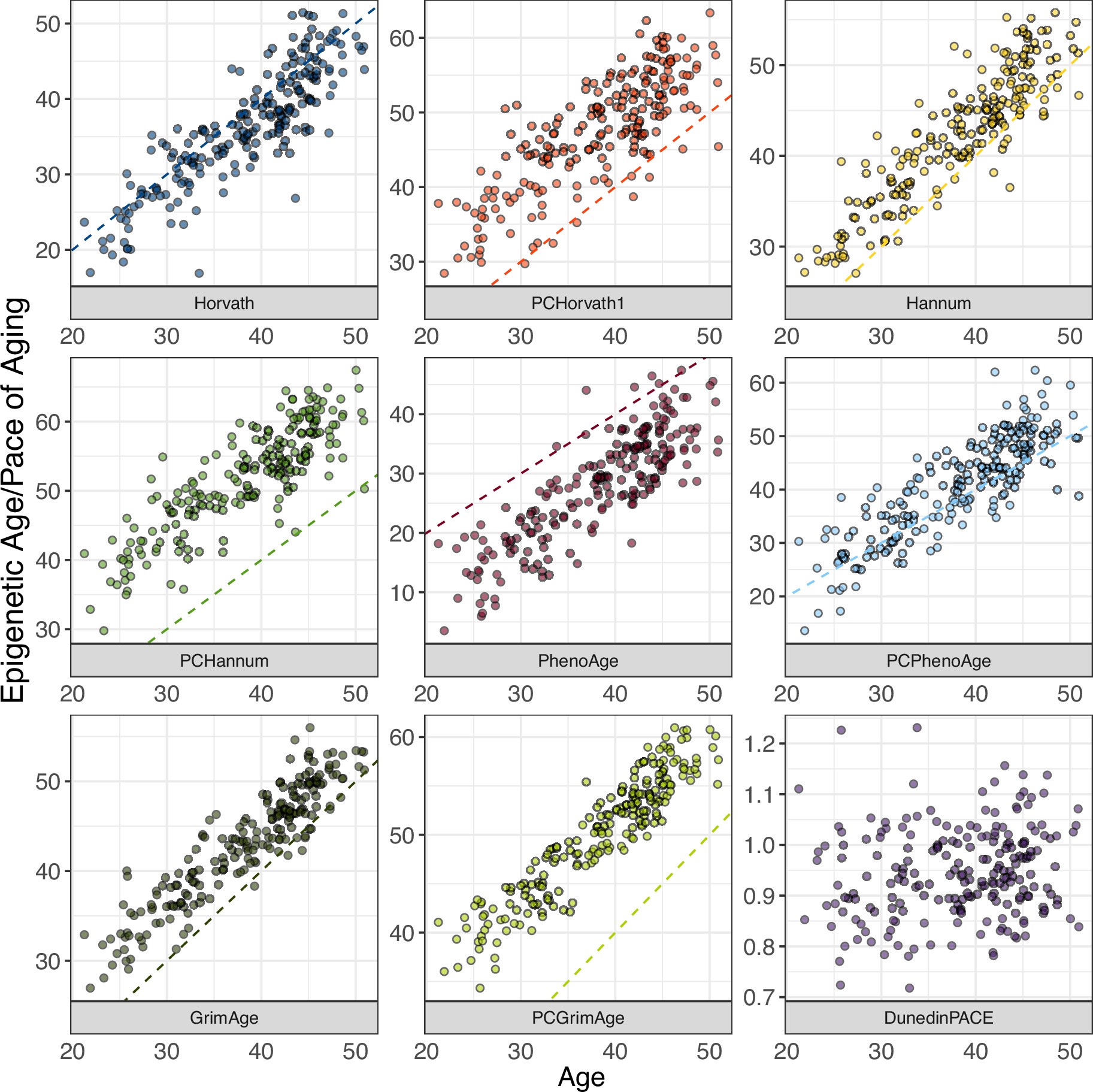 Extended Data Fig. 3: Associations of DNA methylation measures of aging with chronological age.