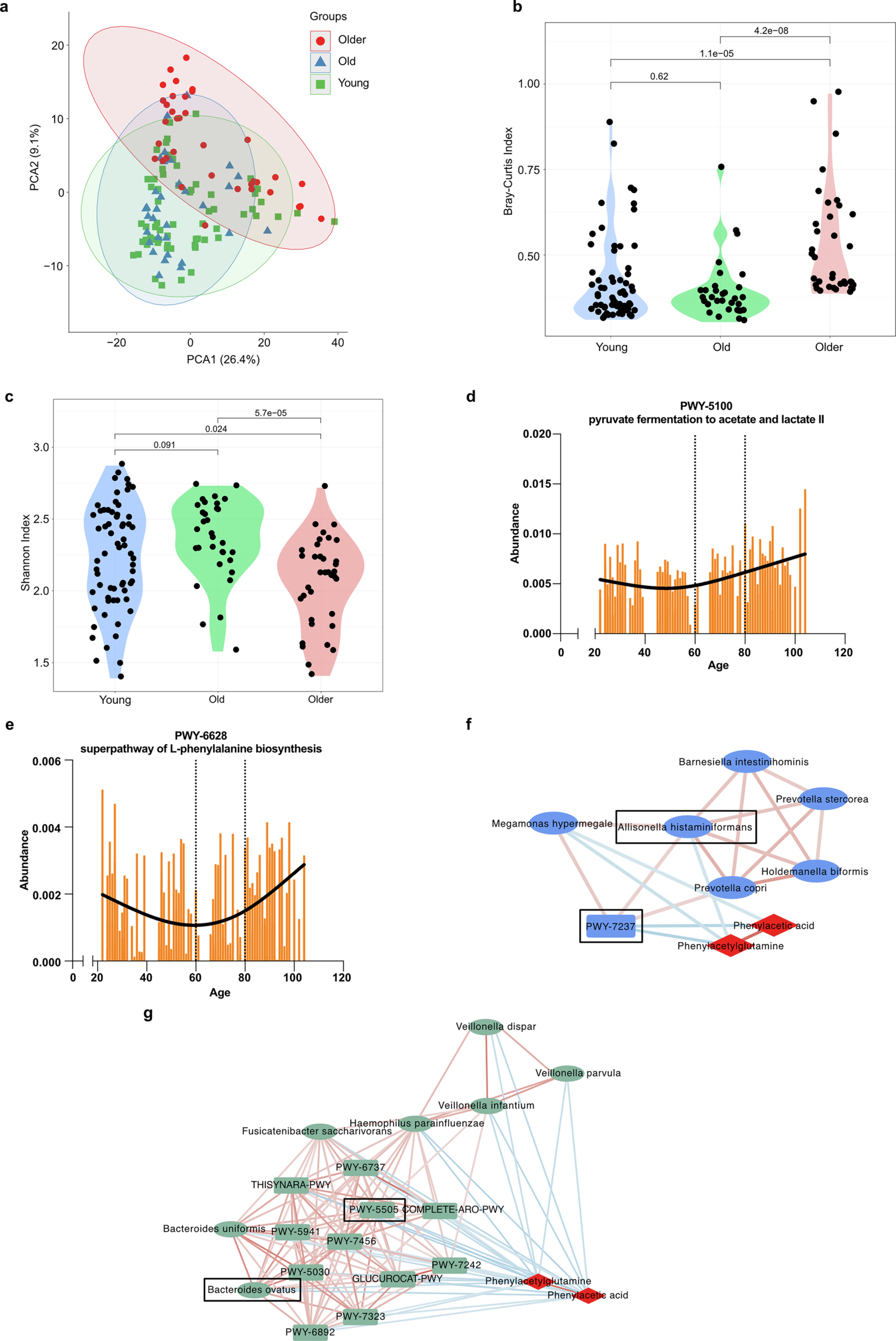 Extended Data Fig. 2: Gut microbial features in older link to plasma PAA and PAGln.