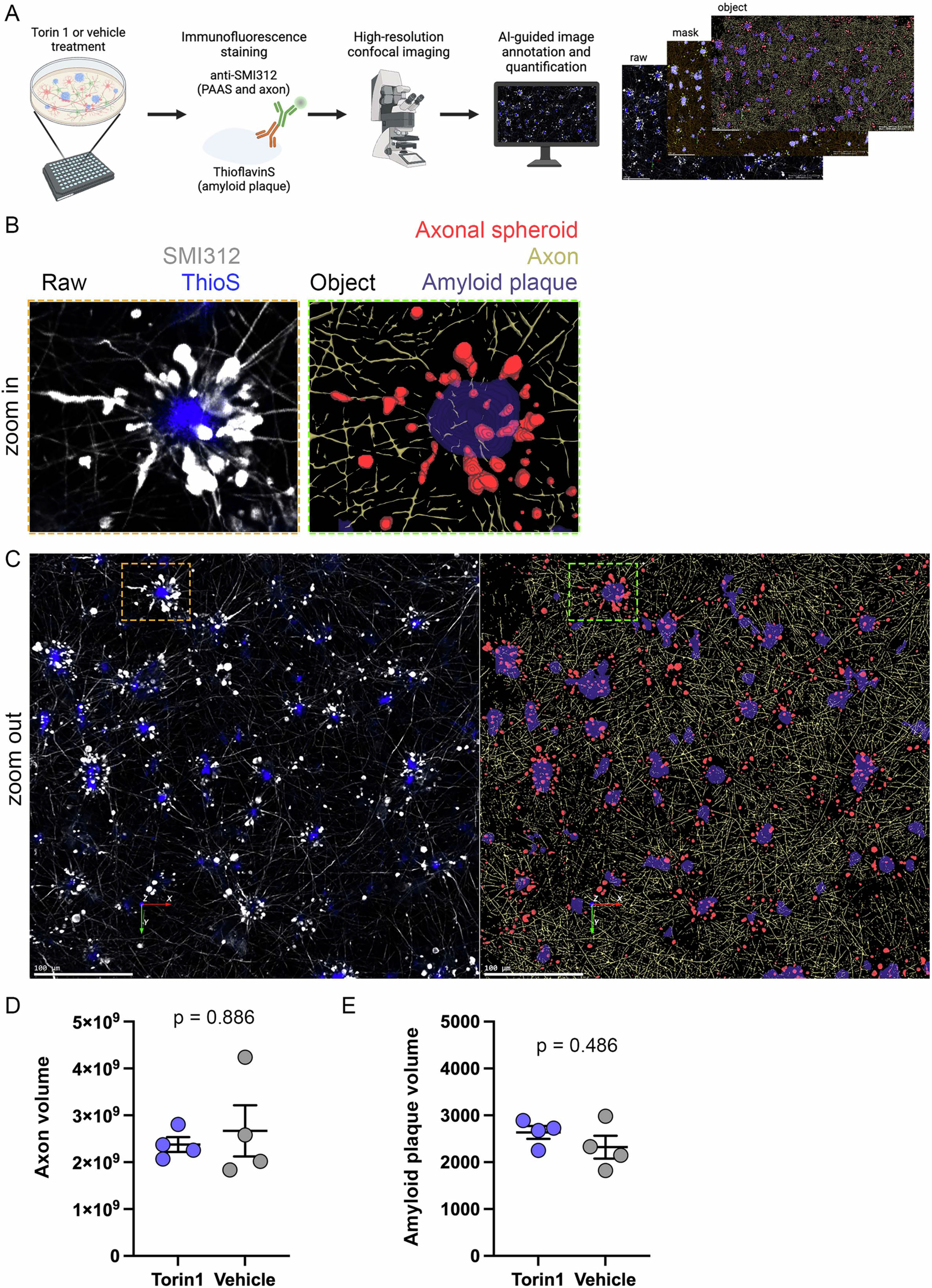 Extended Data Fig. 10