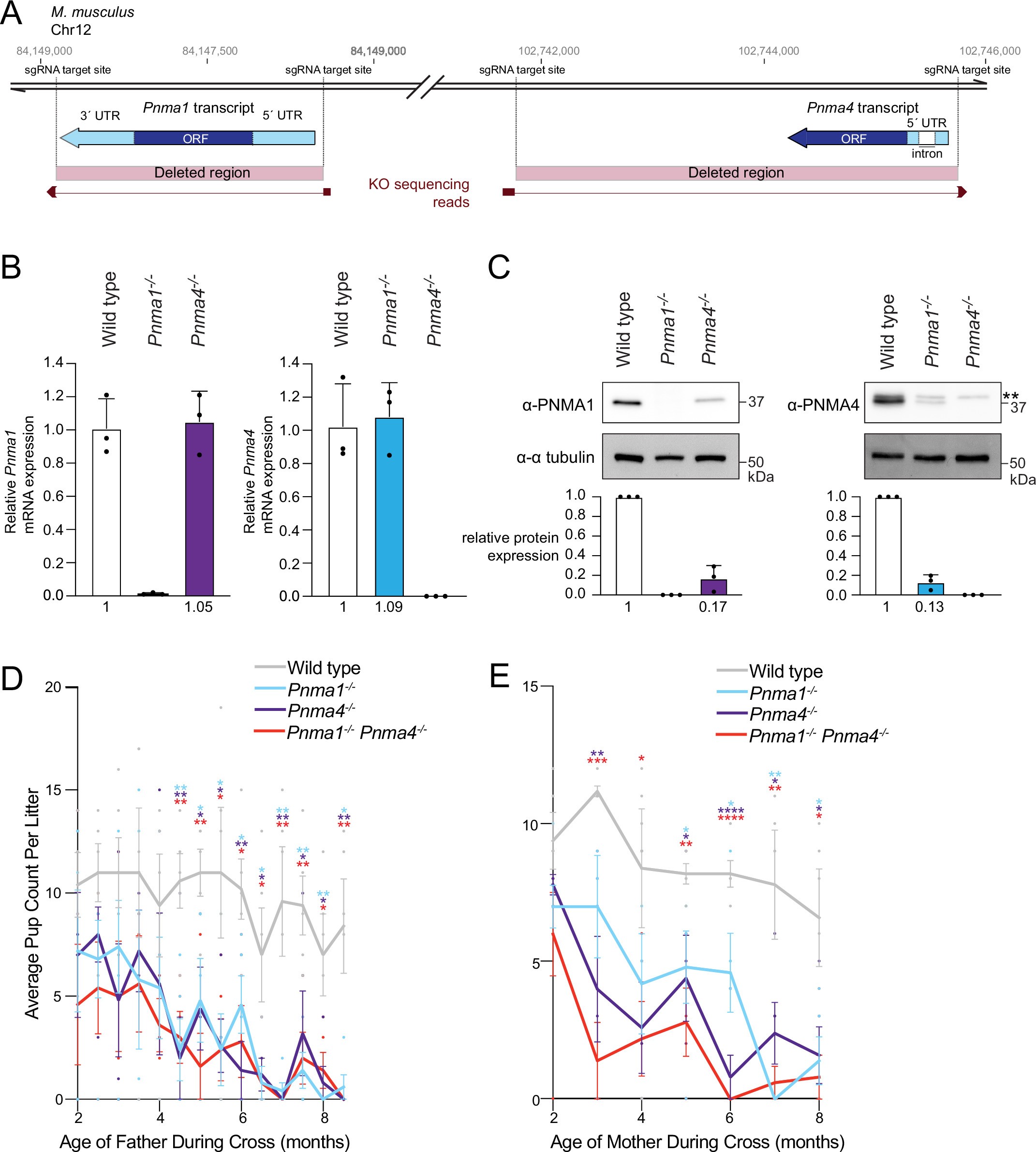 Extended Data Fig. 3