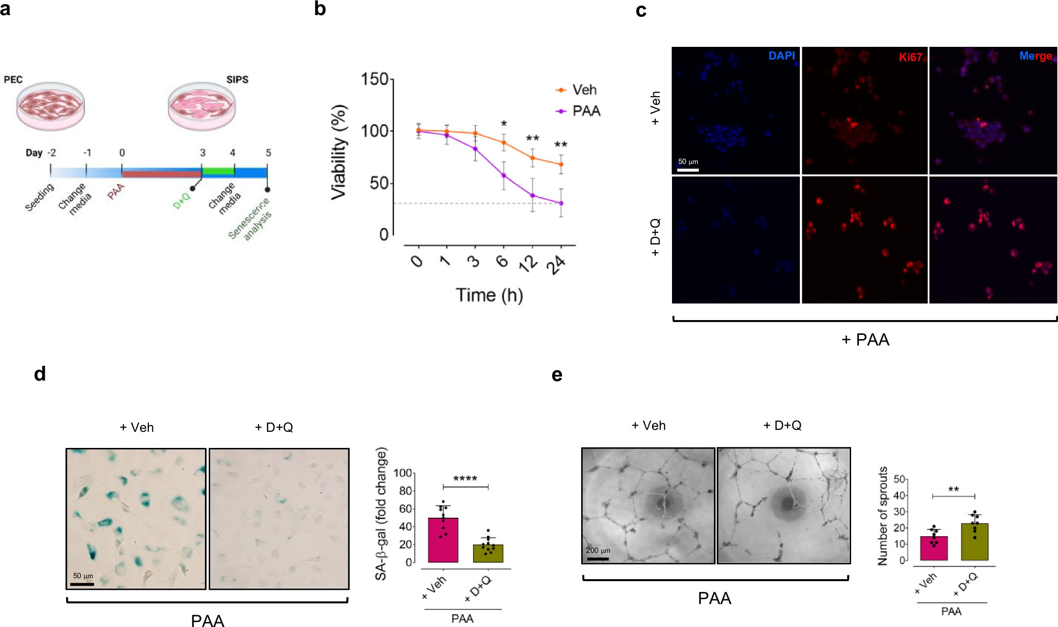 Extended Data Fig. 2