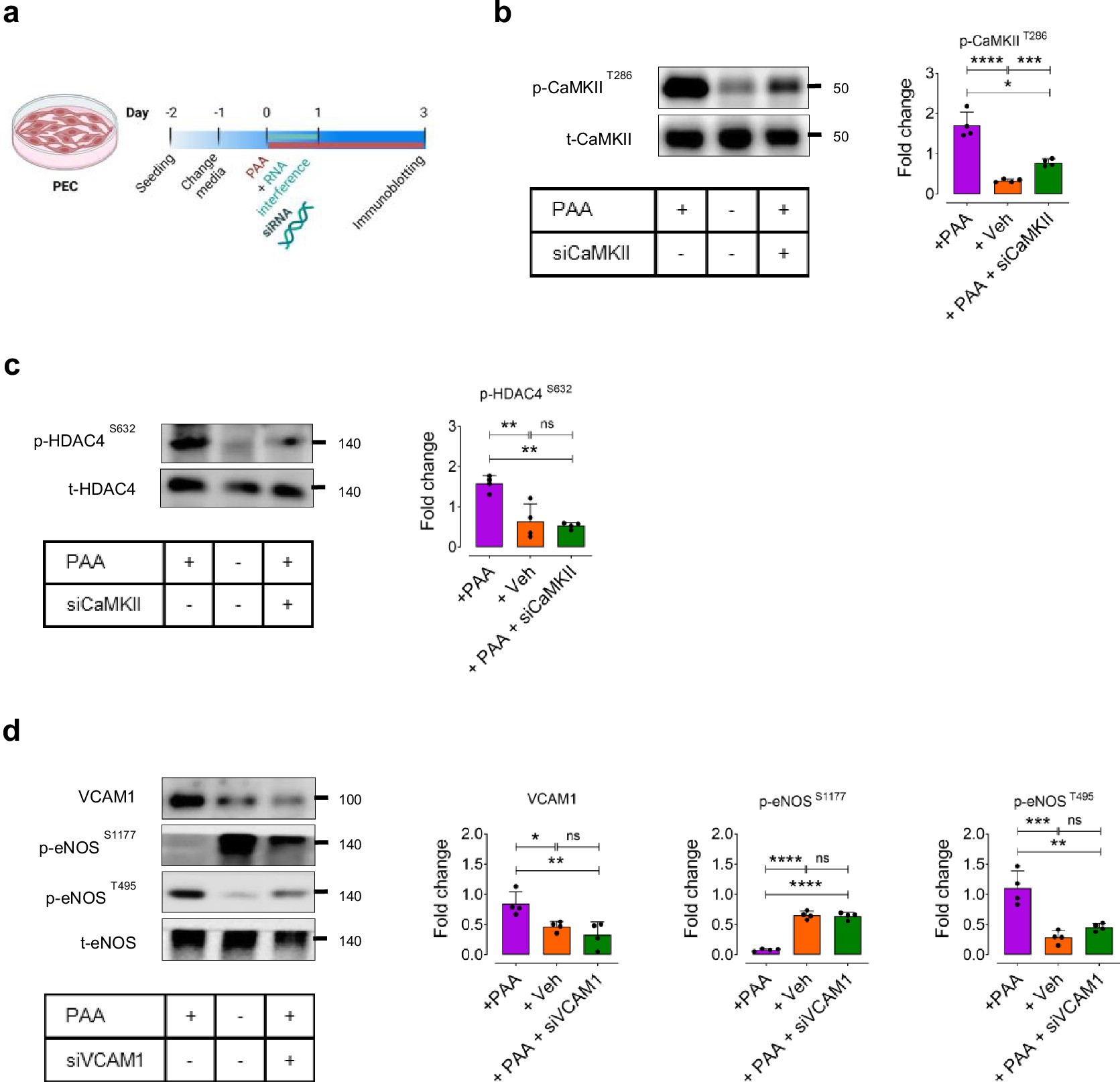 Extended Data Fig. 5