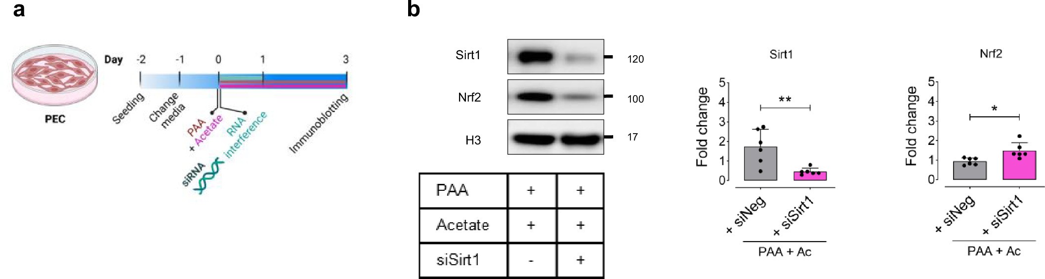 Extended Data Fig. 9