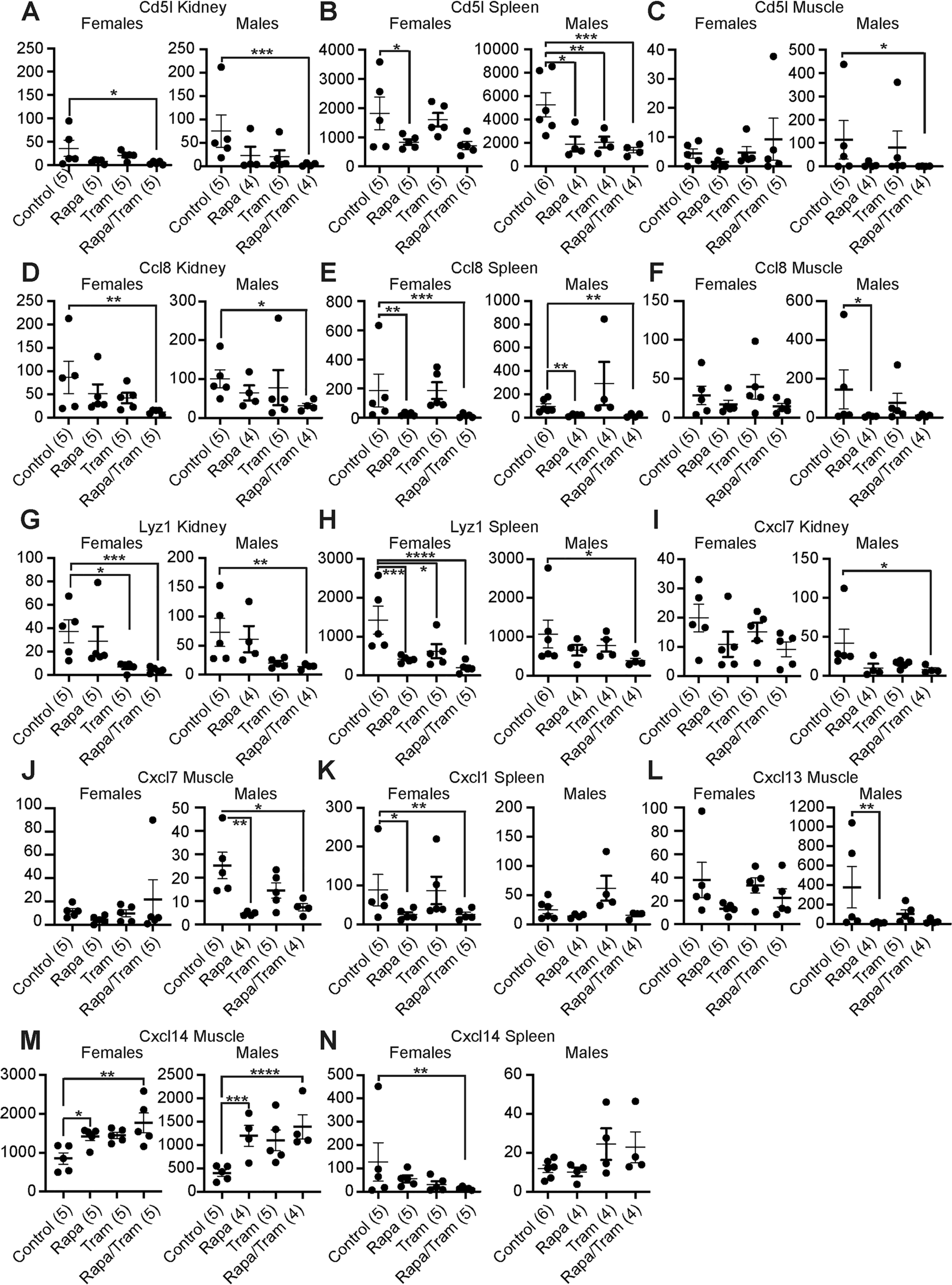 Extended Data Fig. 7: Genes involved in inflammation are downregulated upon combined rapamycin and trametinib treatment.