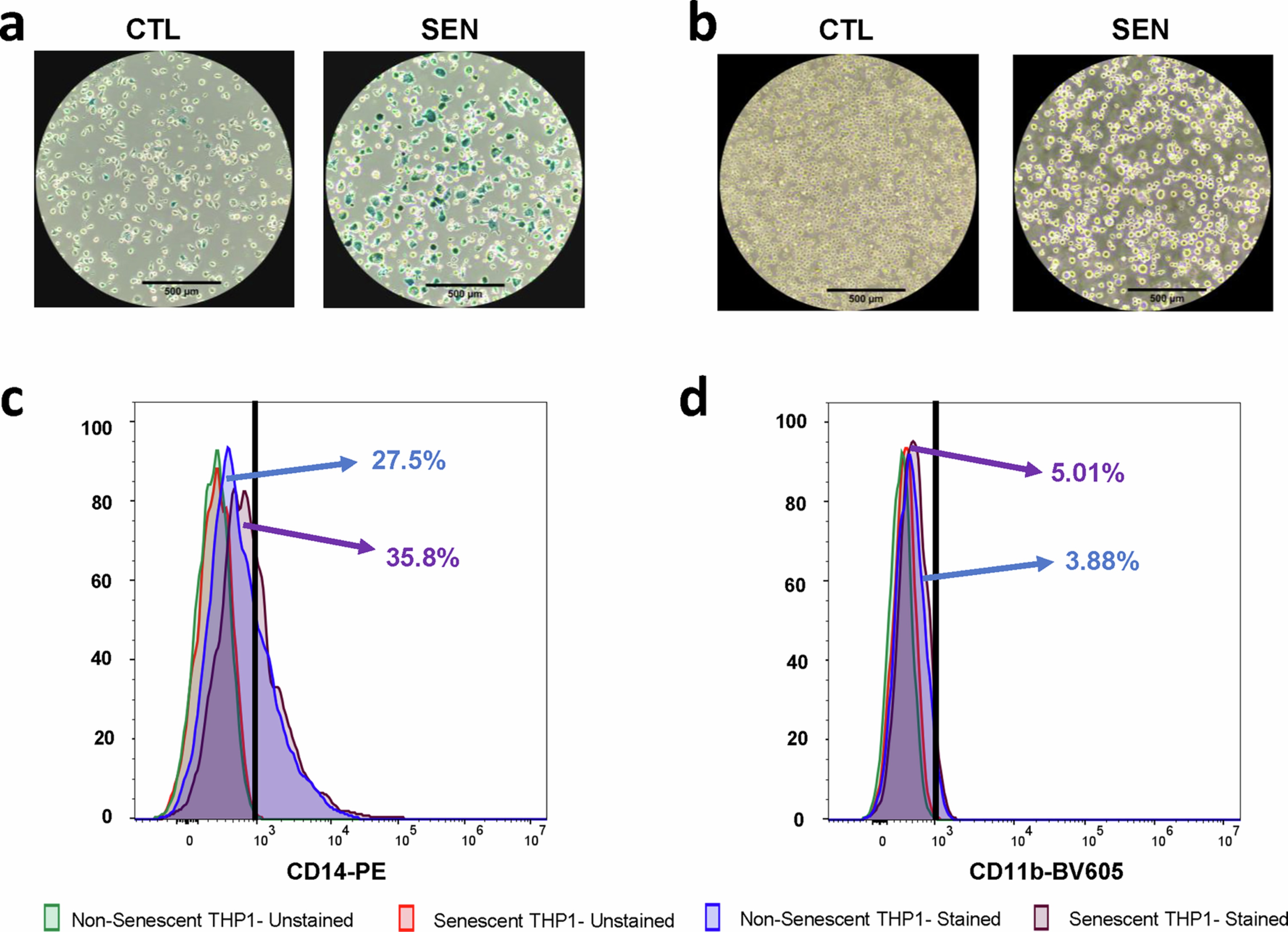 Extended Data Fig. 2: Validation of Cell Identity after IR Treatment.