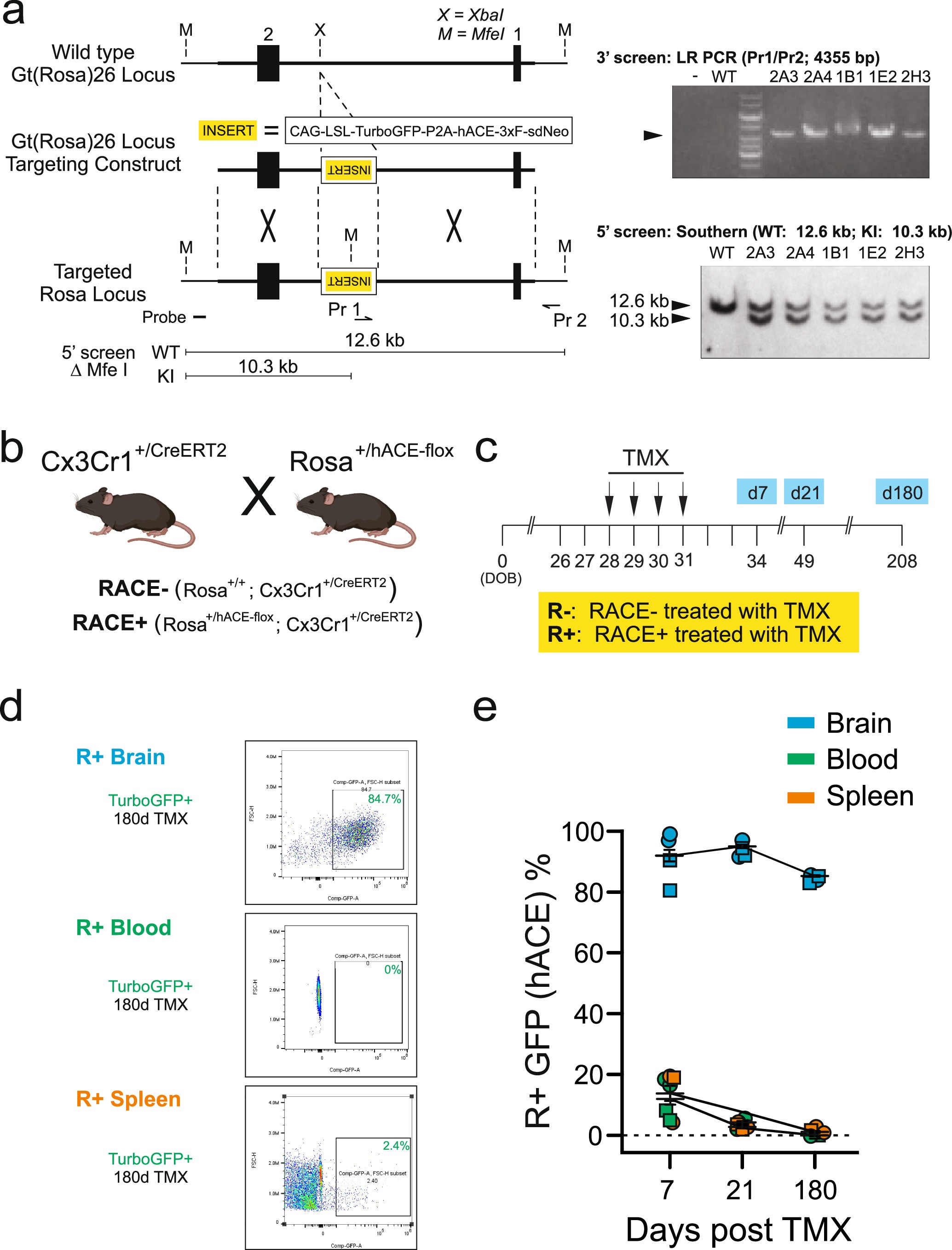 Extended Data Fig. 2