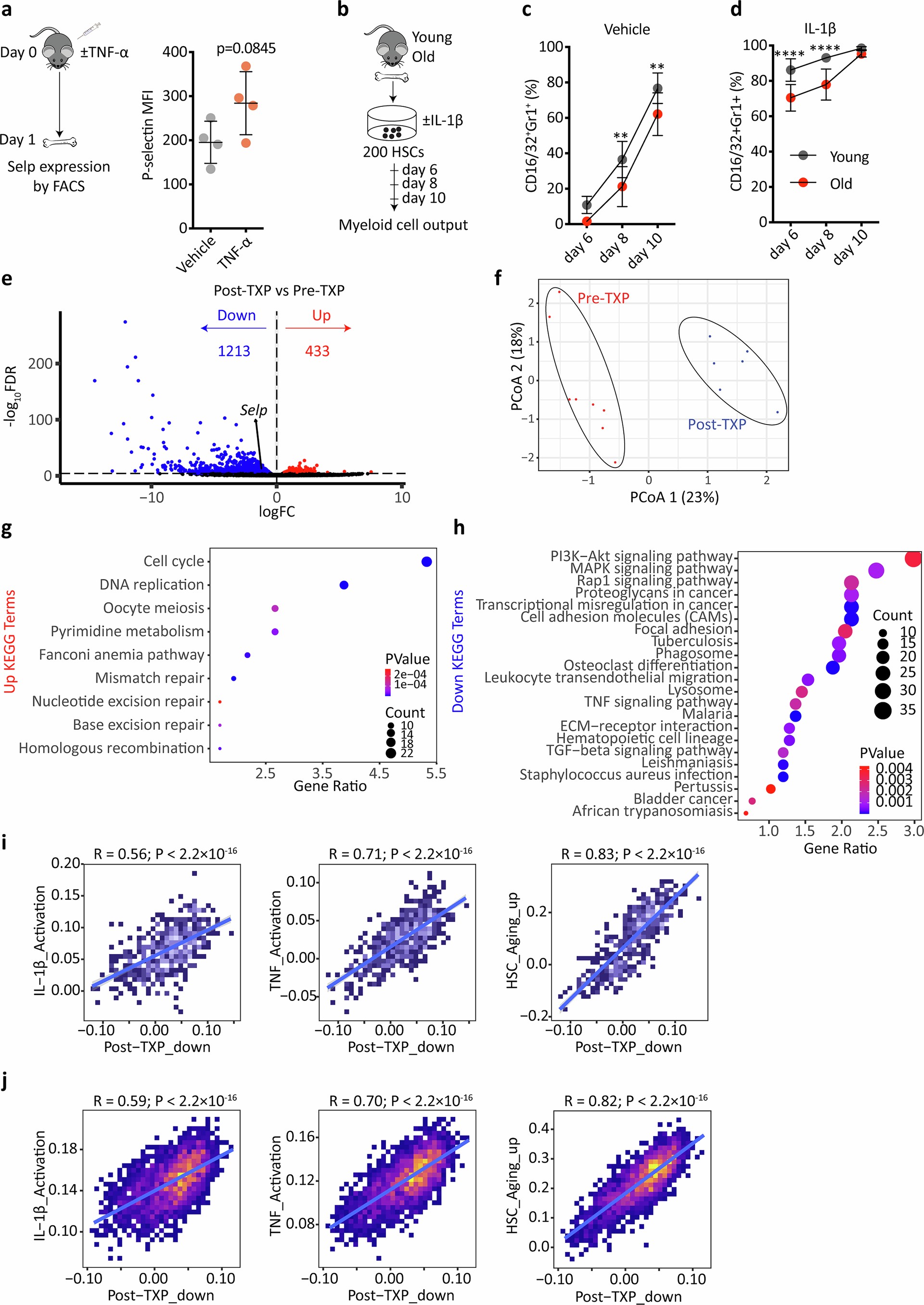 Extended Data Fig. 4