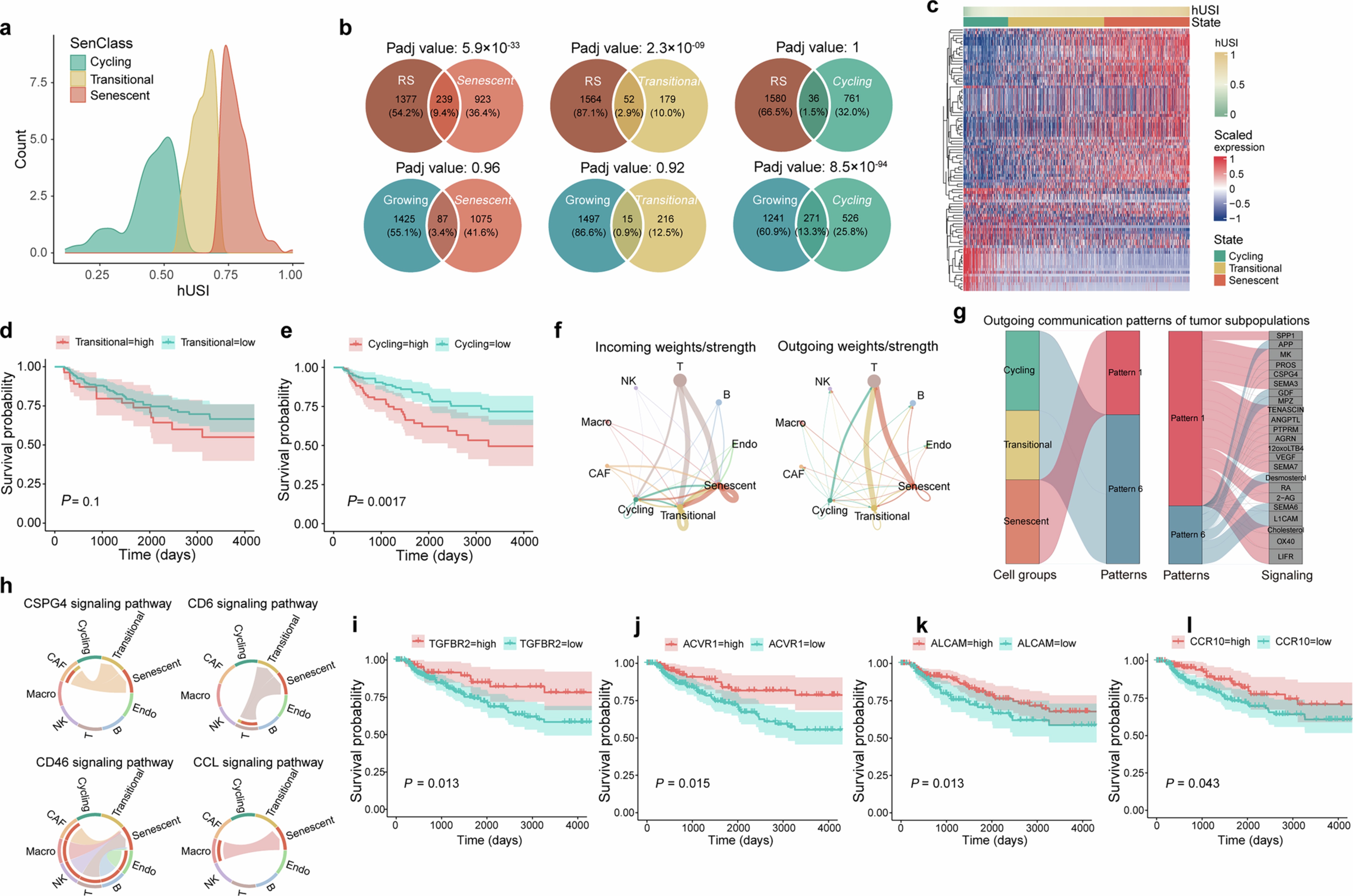 Extended Data Fig. 6: hUSI identifies prognosis-related senescent tumor cells in melanoma.