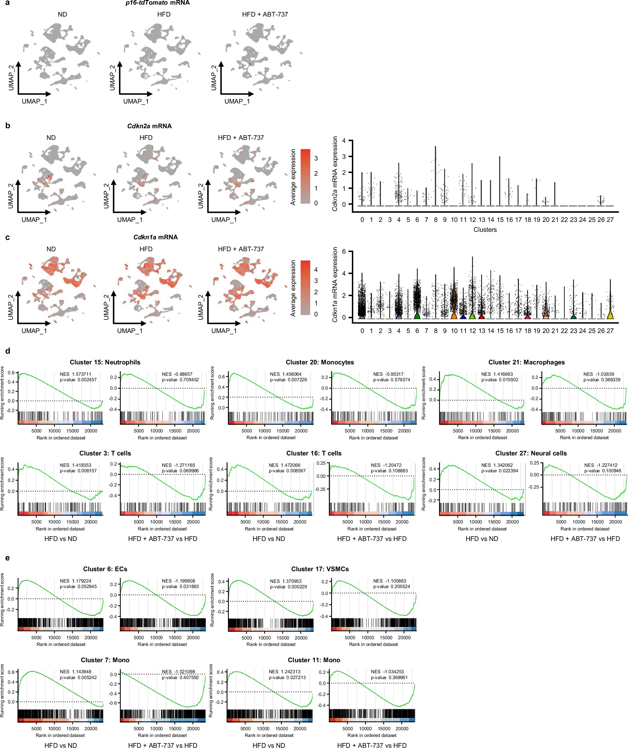 Extended Data Fig. 2: scRNA-seq analysis of senescence gene expression.