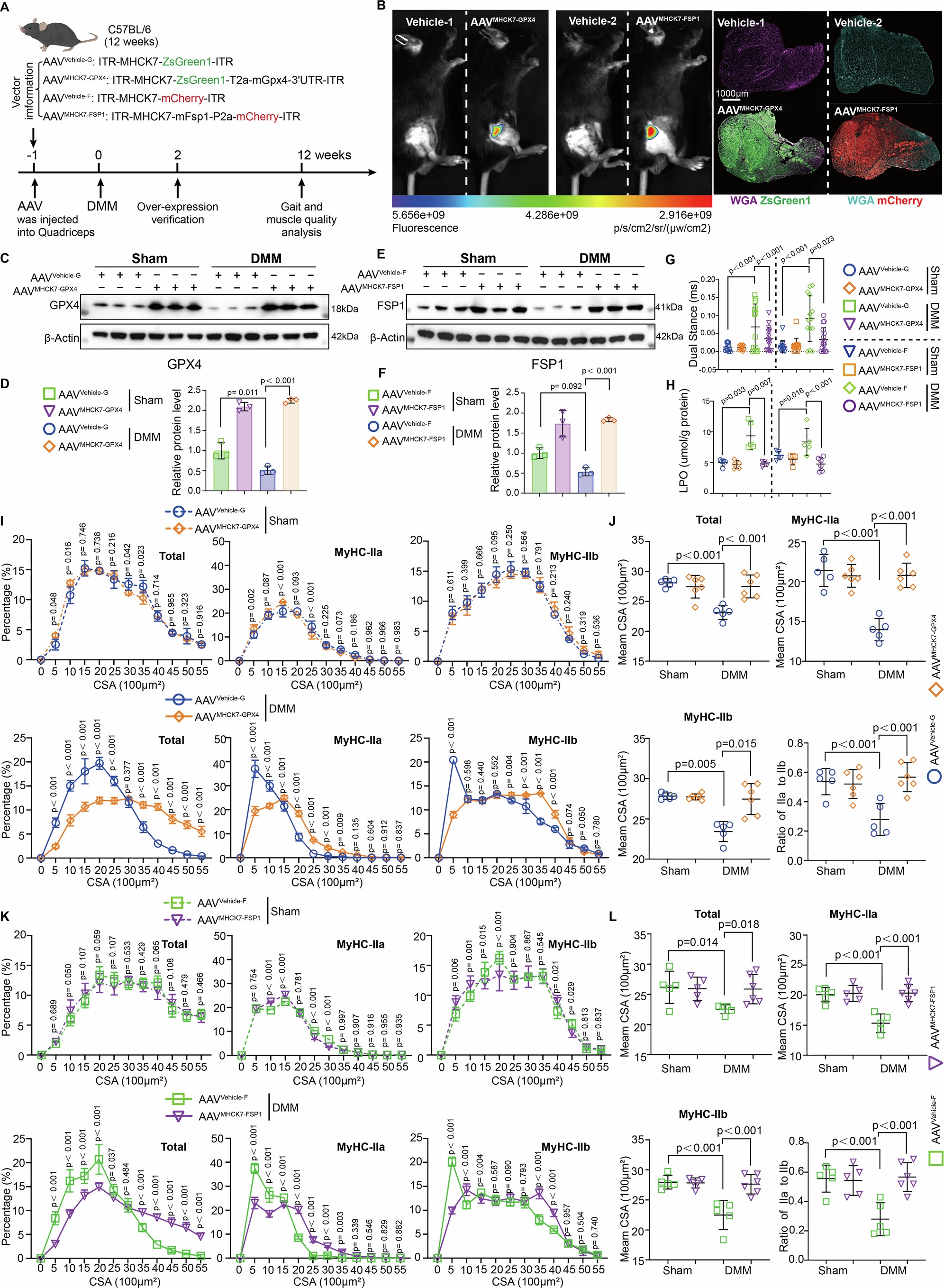 Extended Data Fig. 7