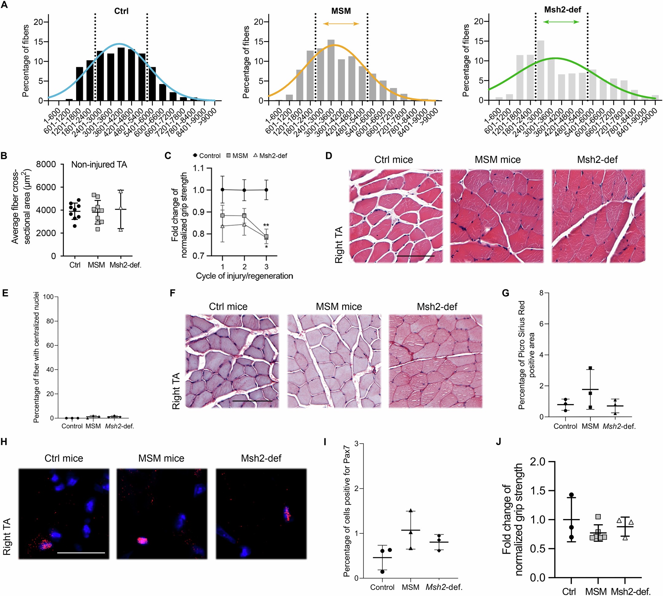Extended Data Fig. 5