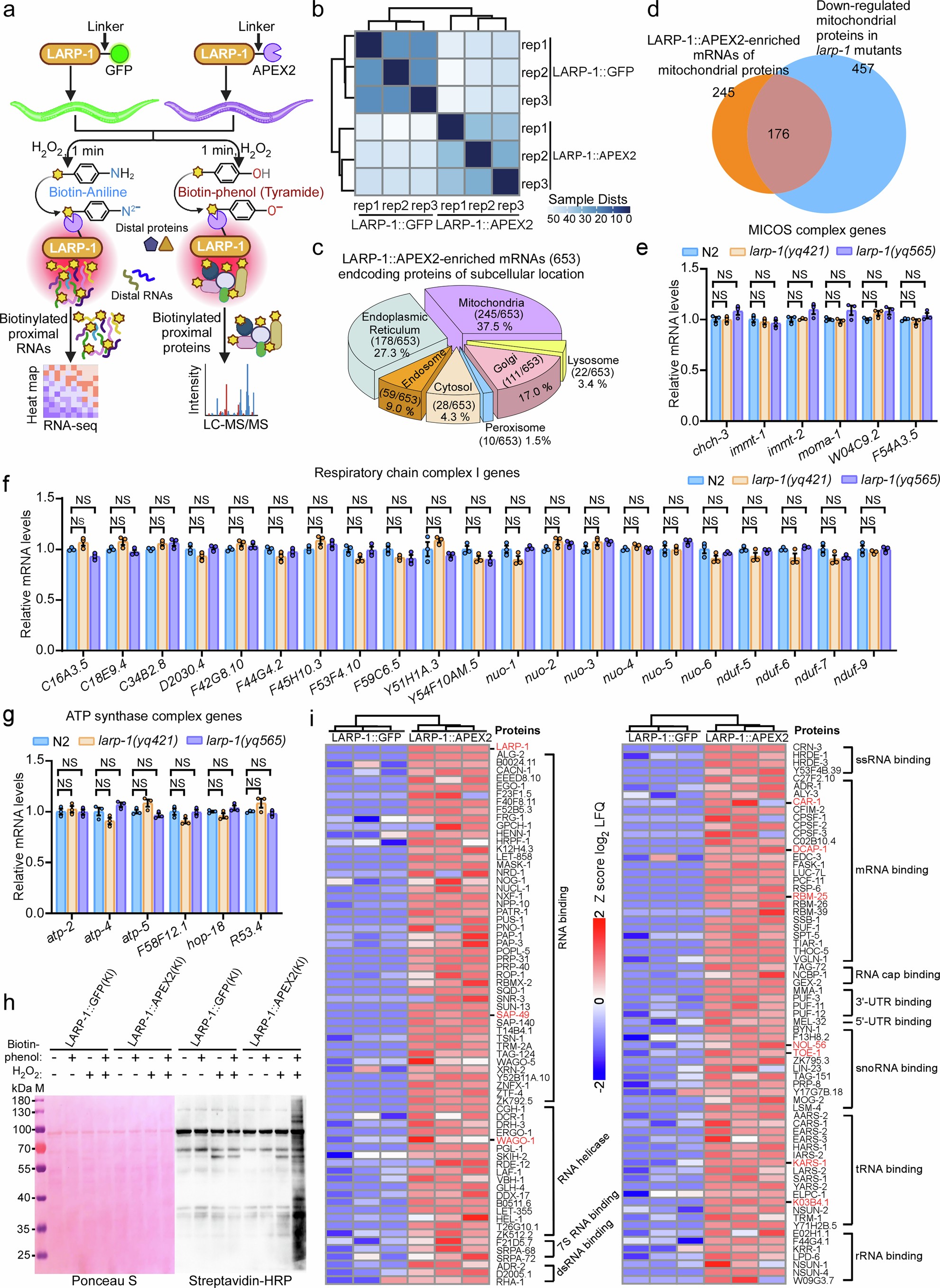 Extended Data Fig. 4