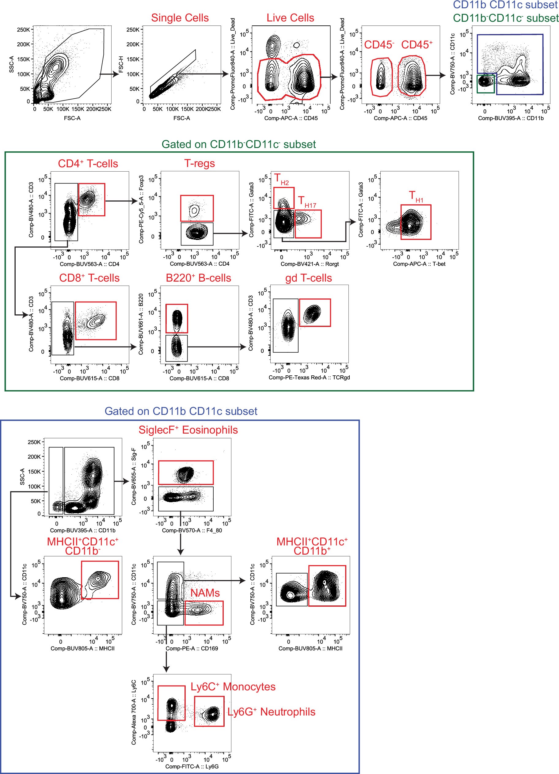 Extended Data Fig. 7: Gating strategy to quantify the depletion efficiency of NAMs in VAT.
