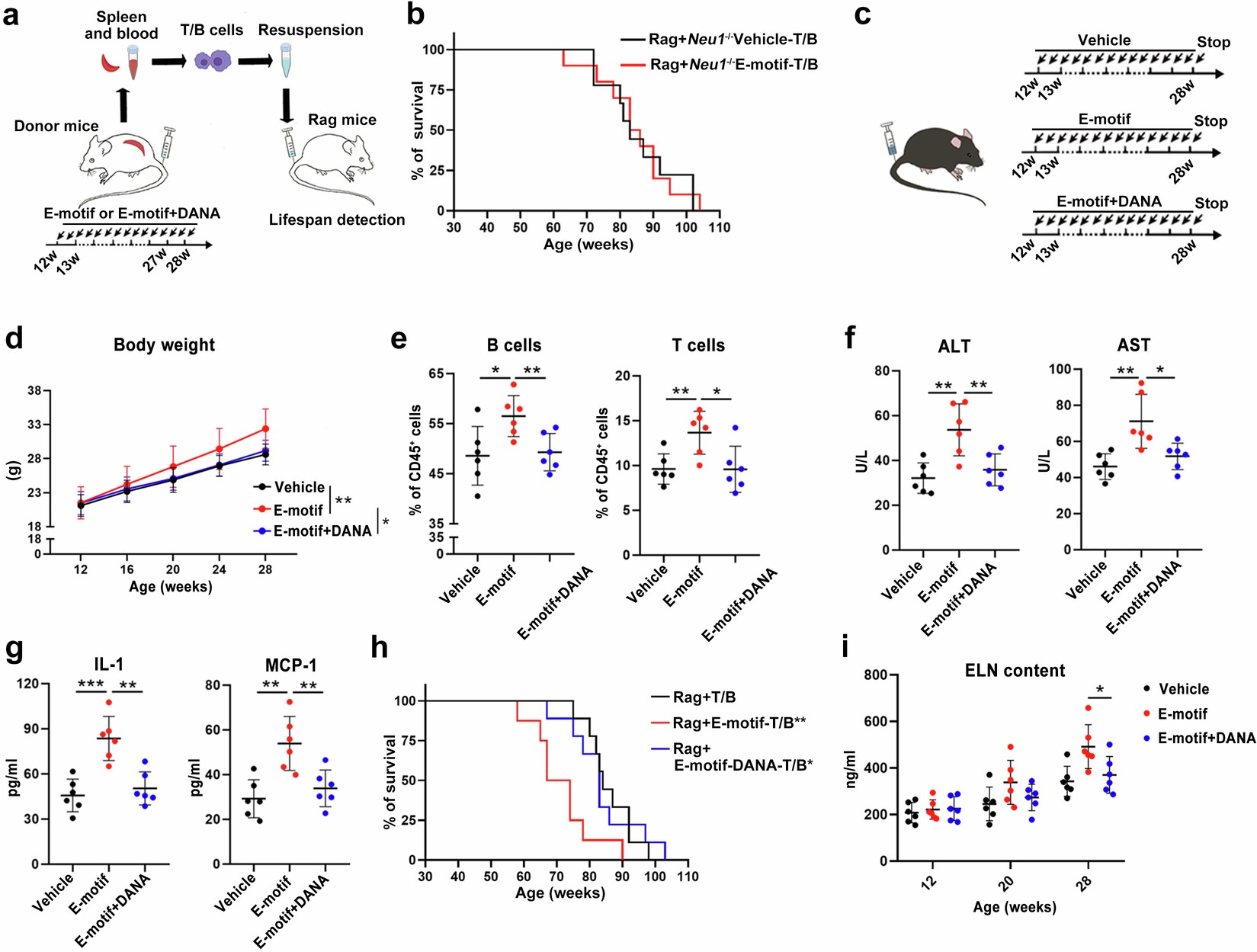 Extended Data Fig. 8: DANA counteract E-motif-induced systemic aging.