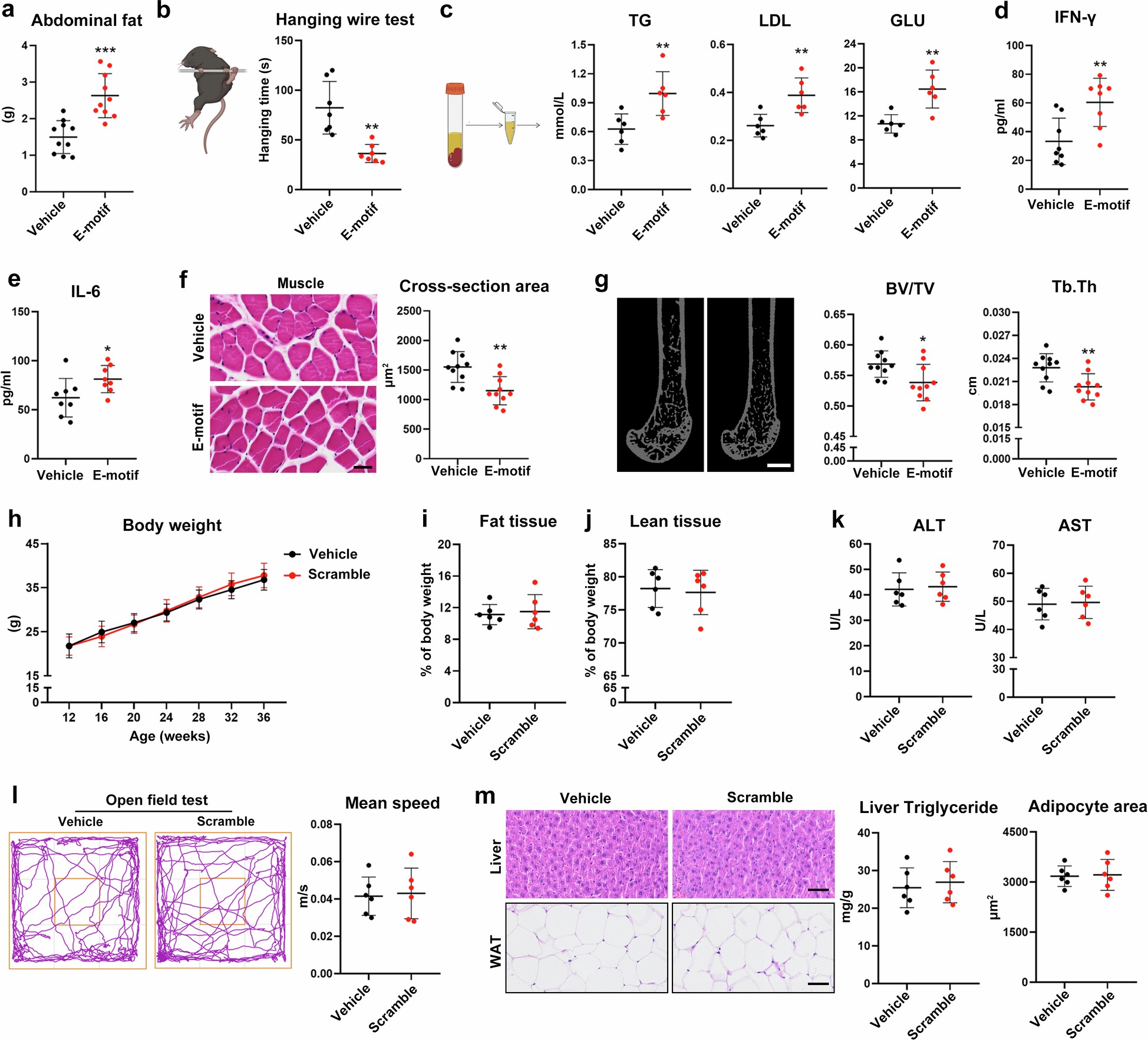 Extended Data Fig. 2: E-motif induces systemic aging.