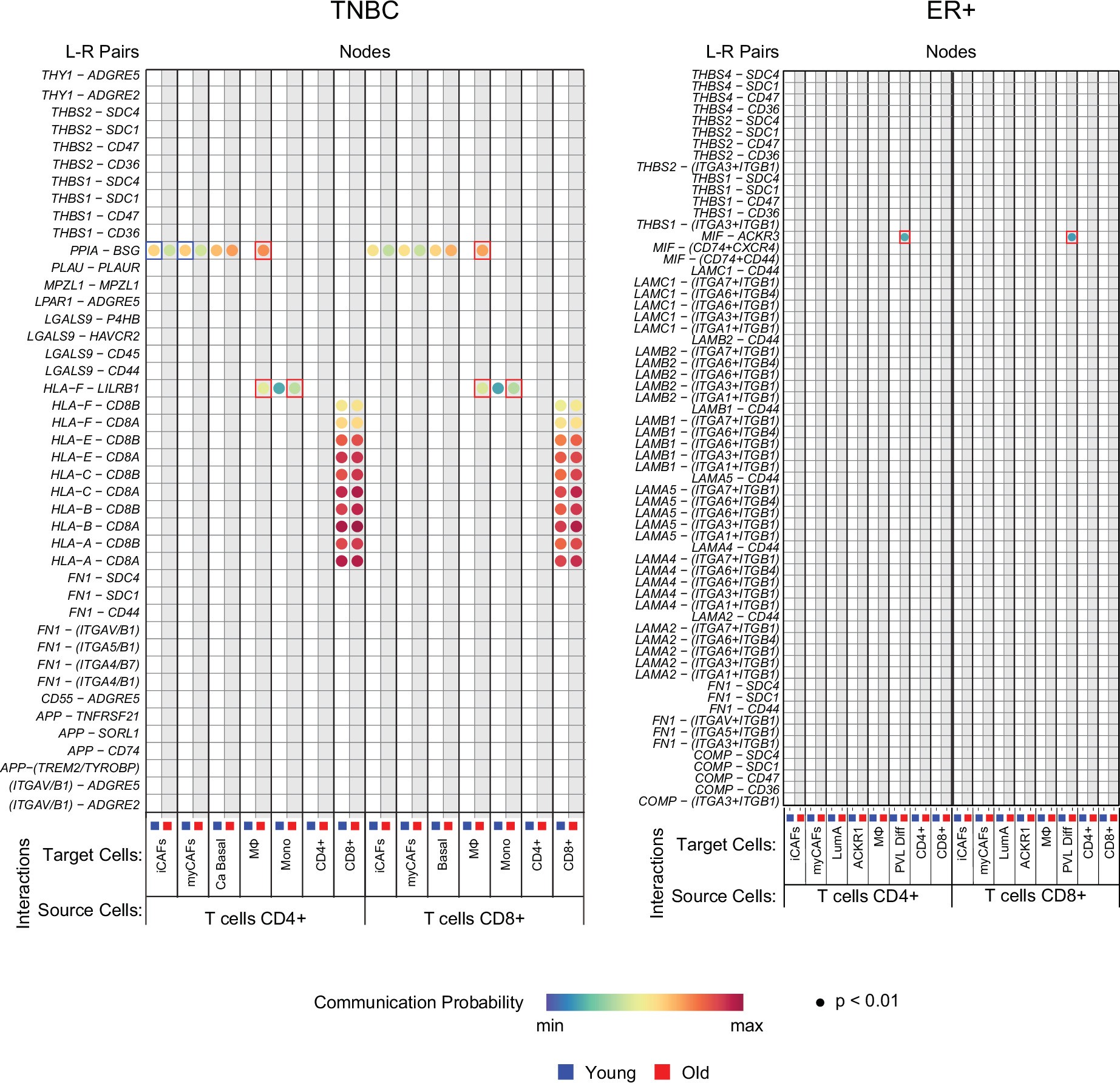 Extended Data Fig. 7: Age-associated signaling networks specific to CD4+ and CD8 + T cells in TNBC ER+ breast cancer (related to Fig. 6).