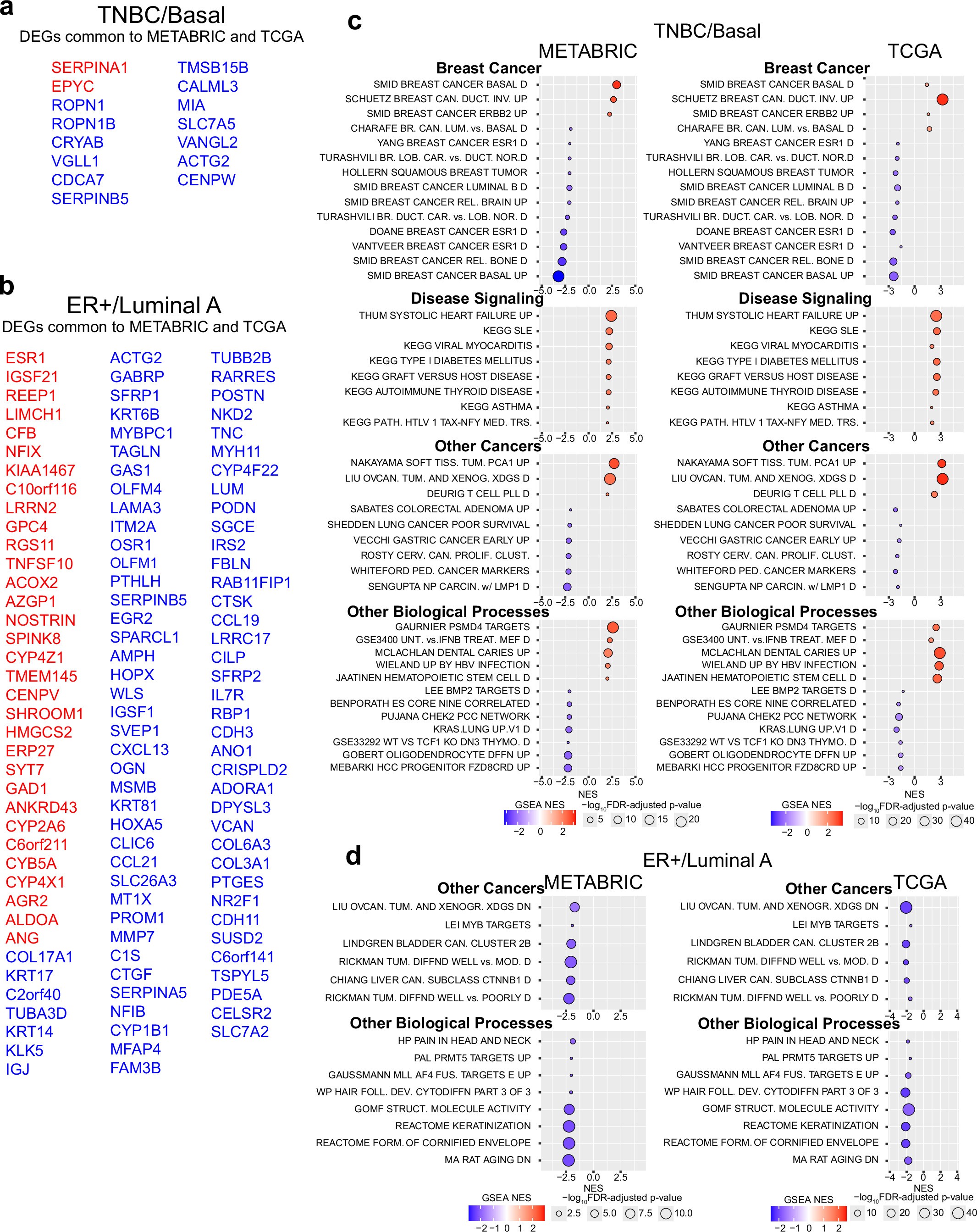 Extended Data Fig. 1: Additional age-related functional gene set enrichments in TNBC and ER+ breast cancer (related to Fig. 1).
