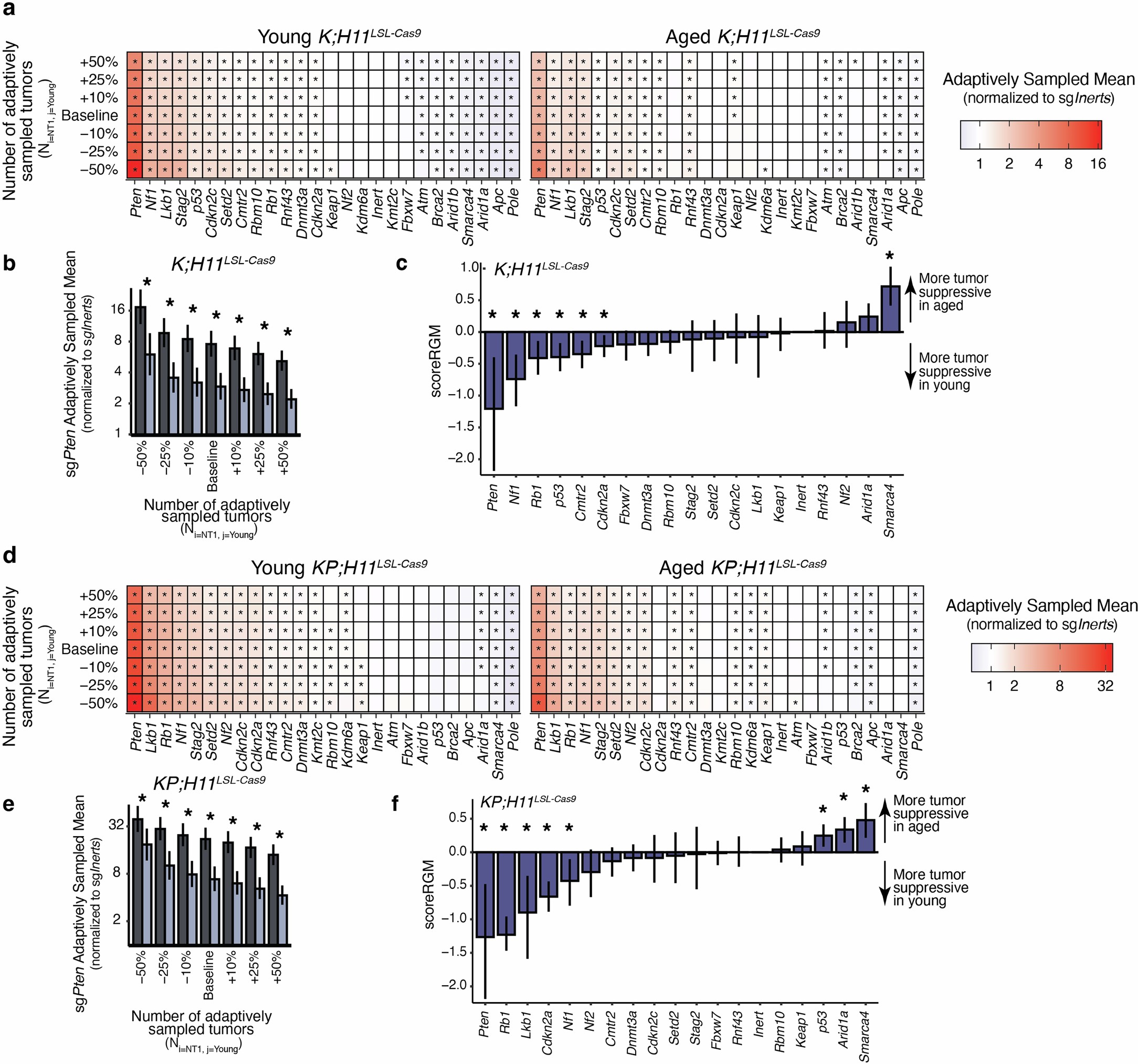 Extended Data Fig. 2: Differential effect of Pten inactivation with age is robust to variation in number of tumors adaptively sampled and statistics used to quantify impact of age on tumor suppressor function.