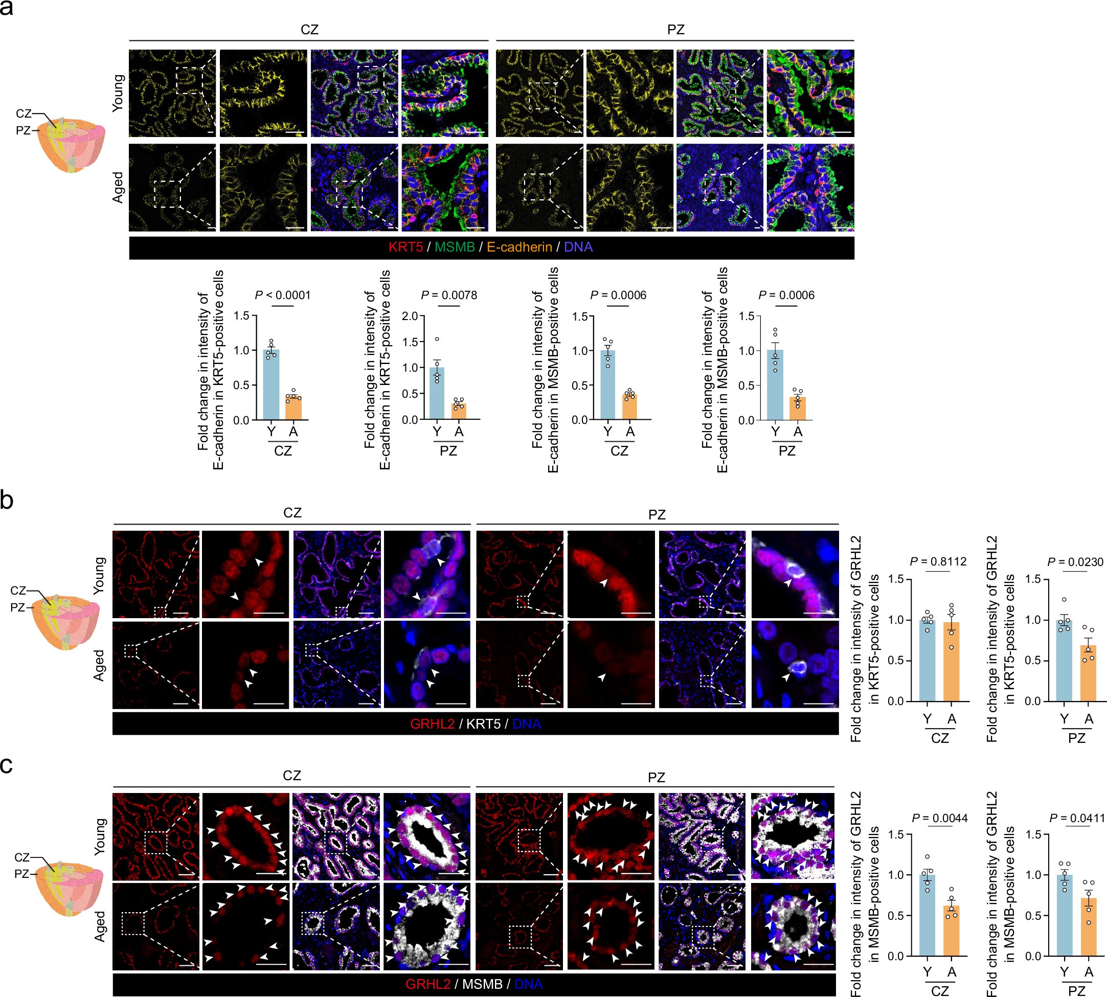 Extended Data Fig. 4